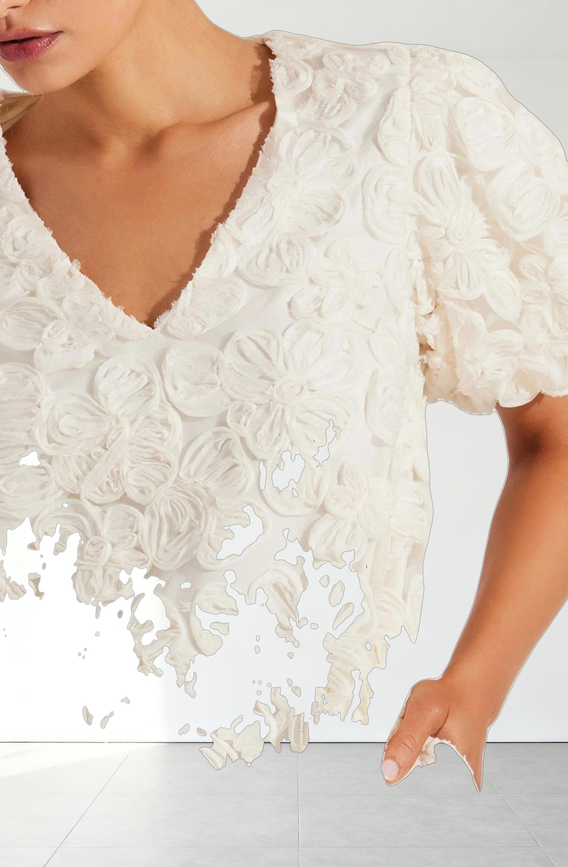 Lakelyn Floral Embroidered Mini Dress