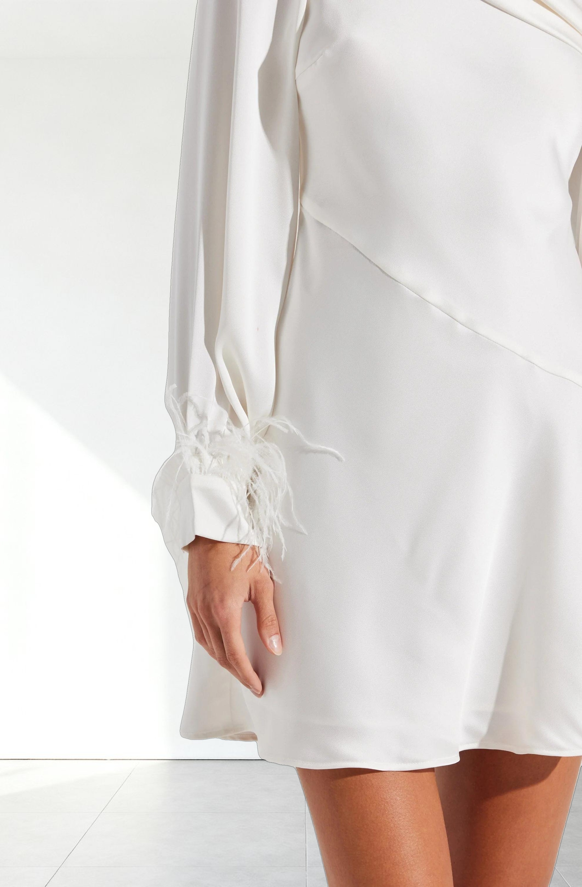 Augusta Feather Trim Mini Dress