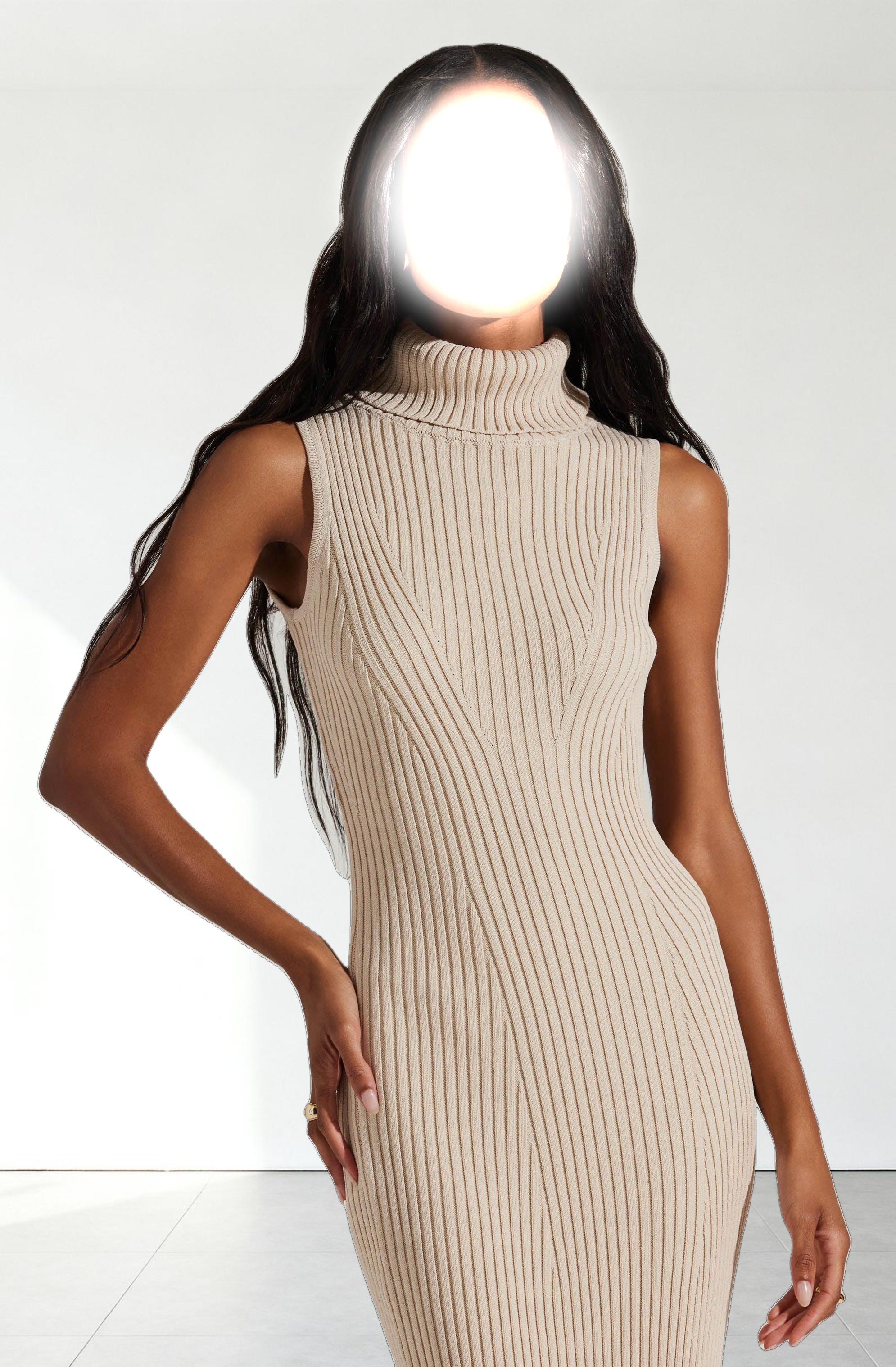 Channary Sleeveless Turtleneck Sweater Dress