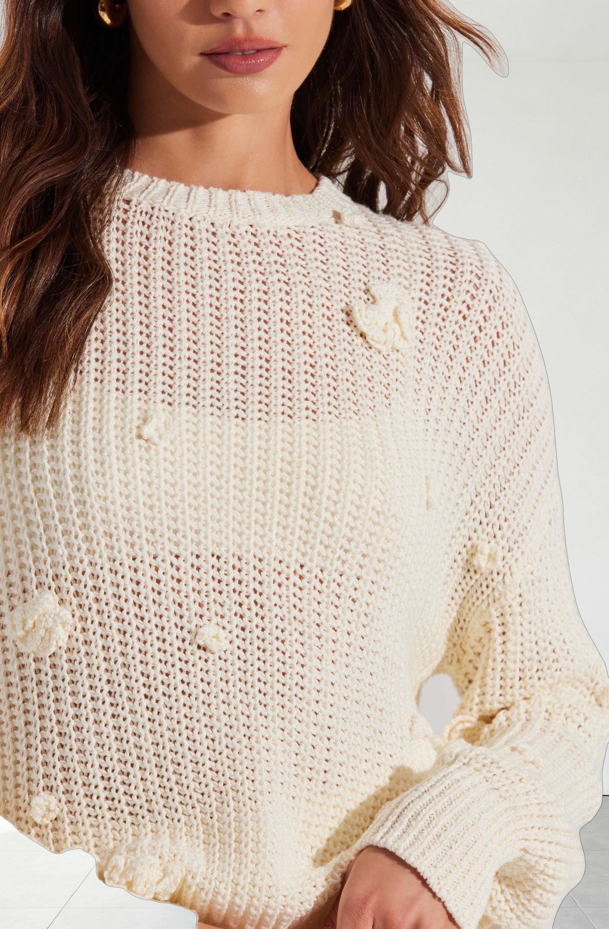 Hayley 3D Floral Crochet Sweater