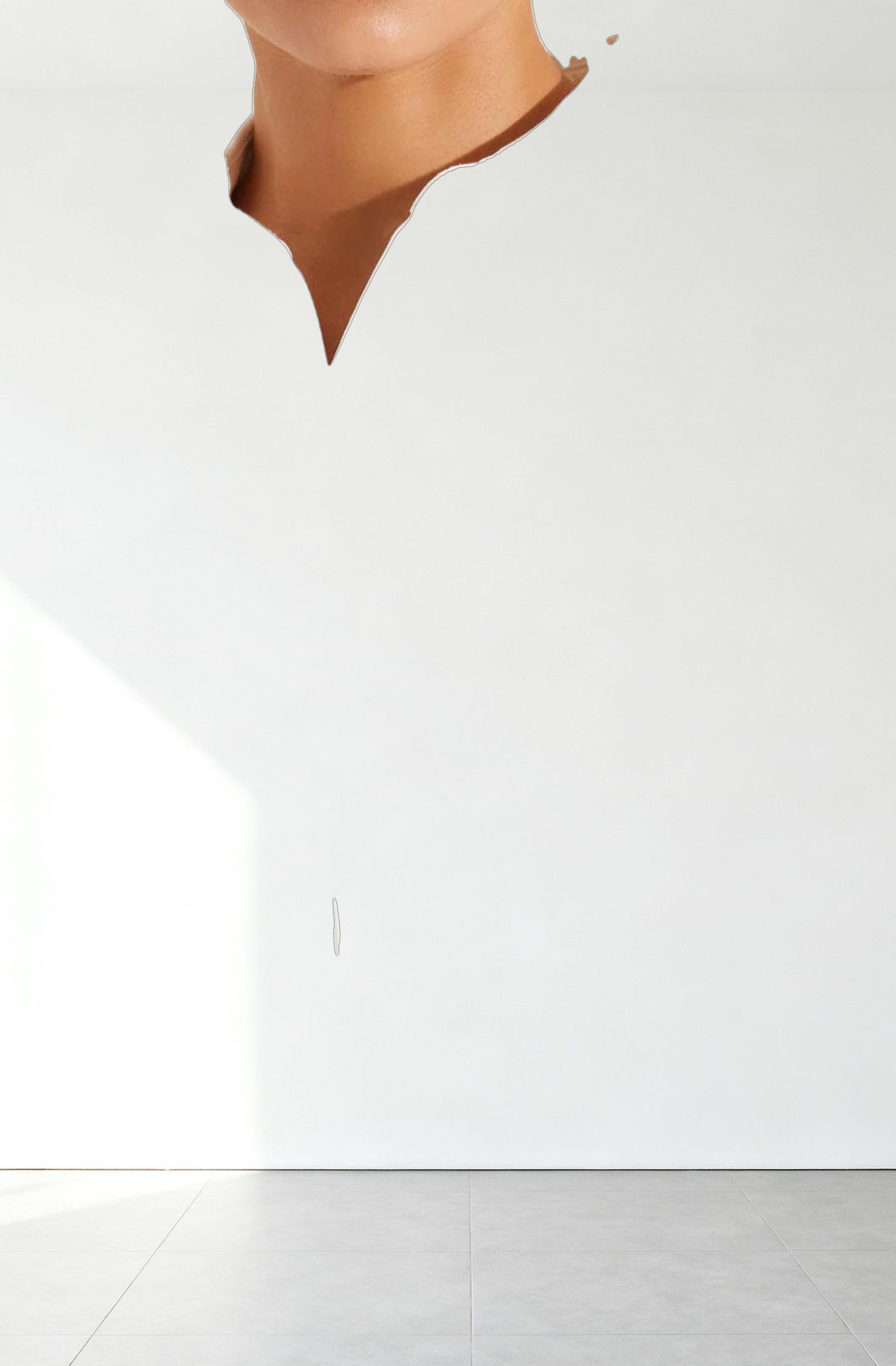 Isabis Floral Lace Top