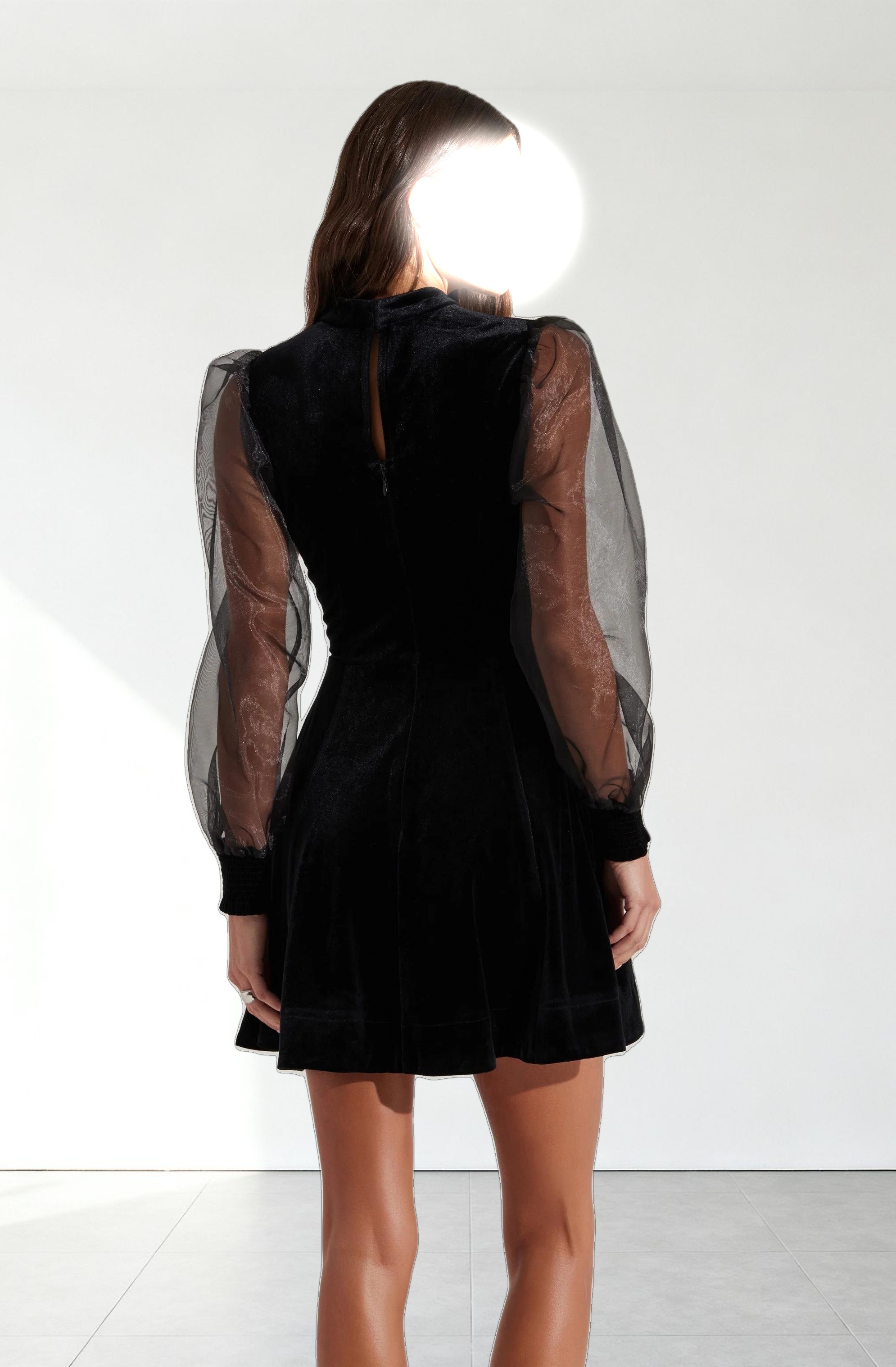 Velvet Sheer Puff Sleeve Dress