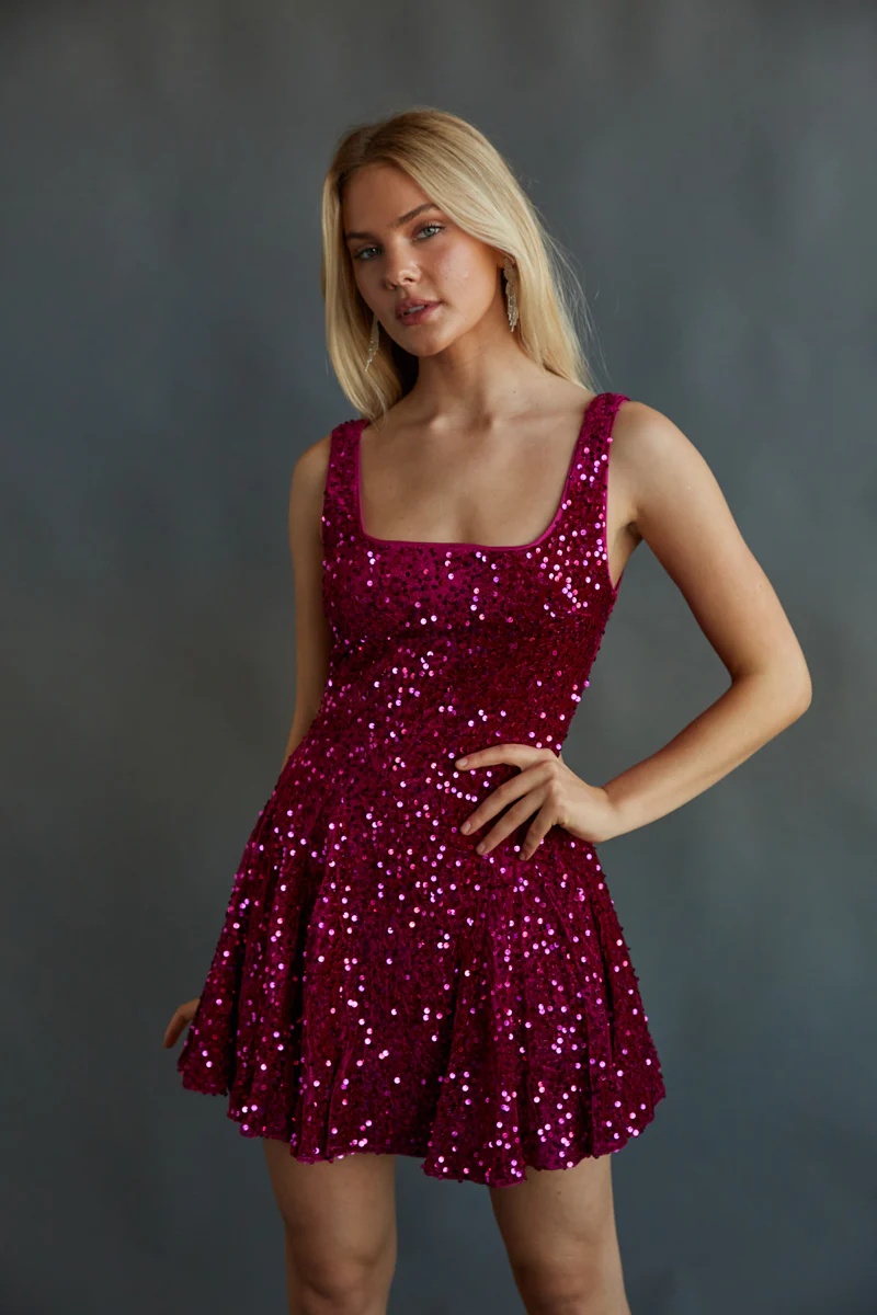 Lacy Velvet Sequin Skater Mini Dress