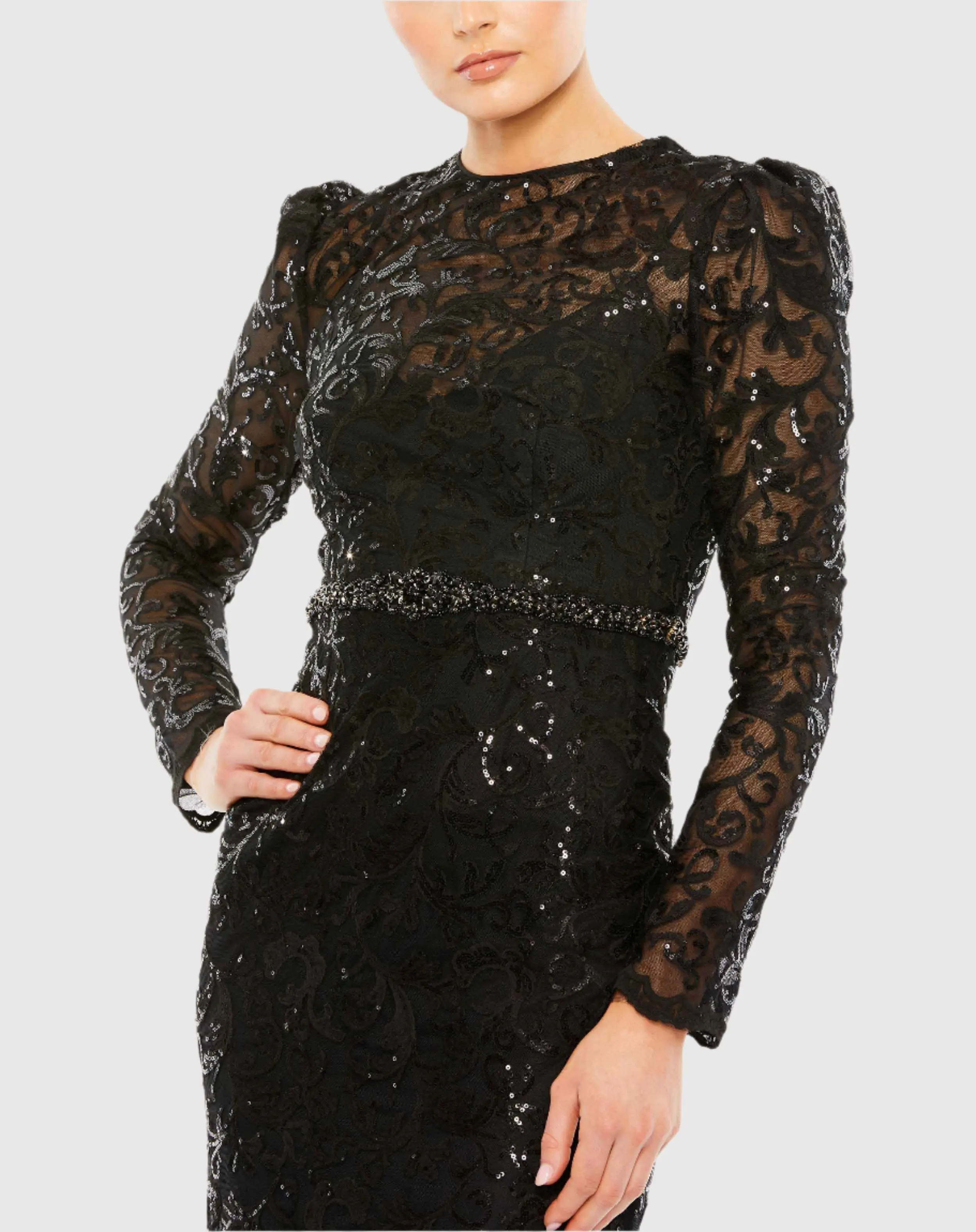 Embroidered High Neck Long Sleeve Gown