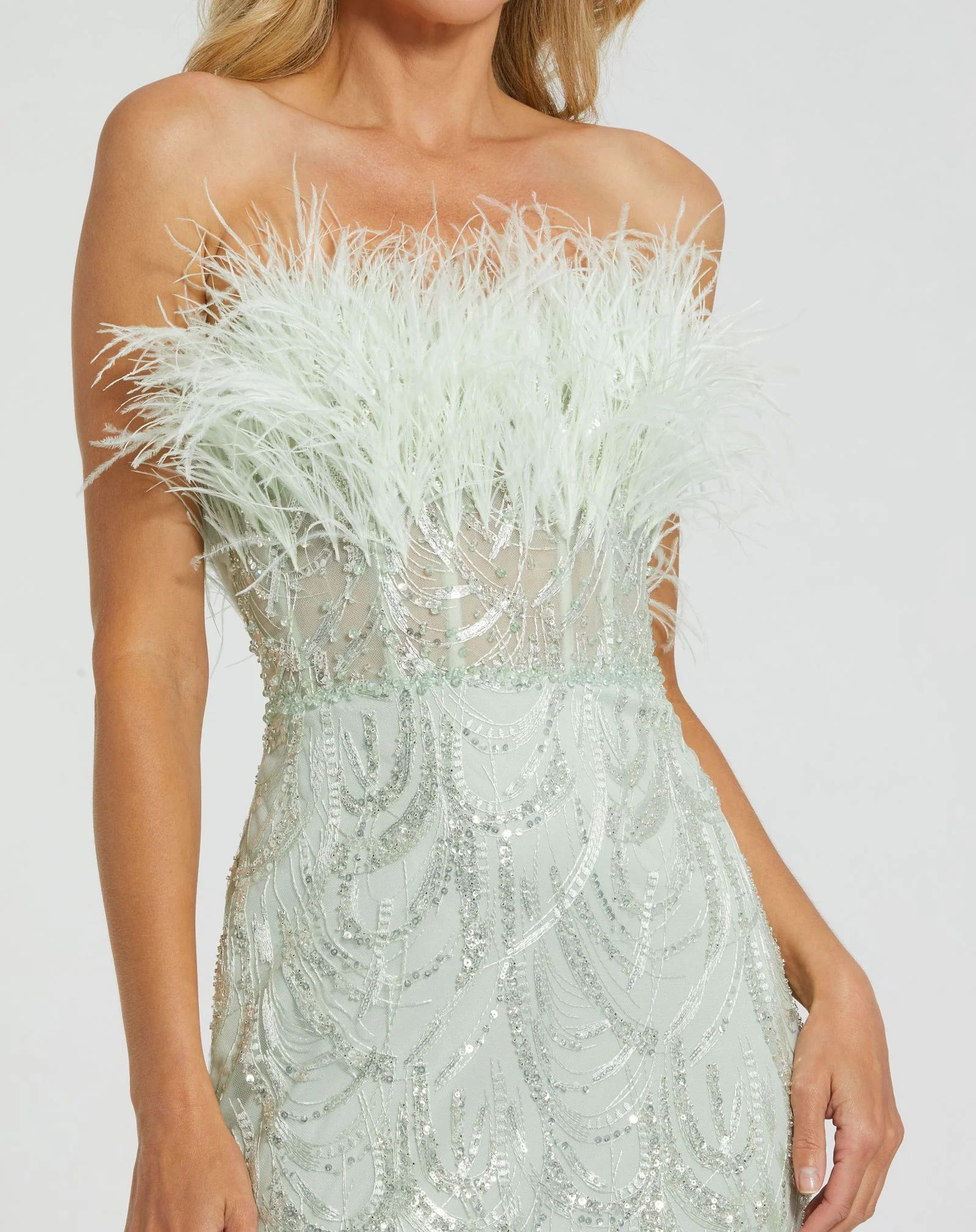Strapless Feather Bustier Gown
