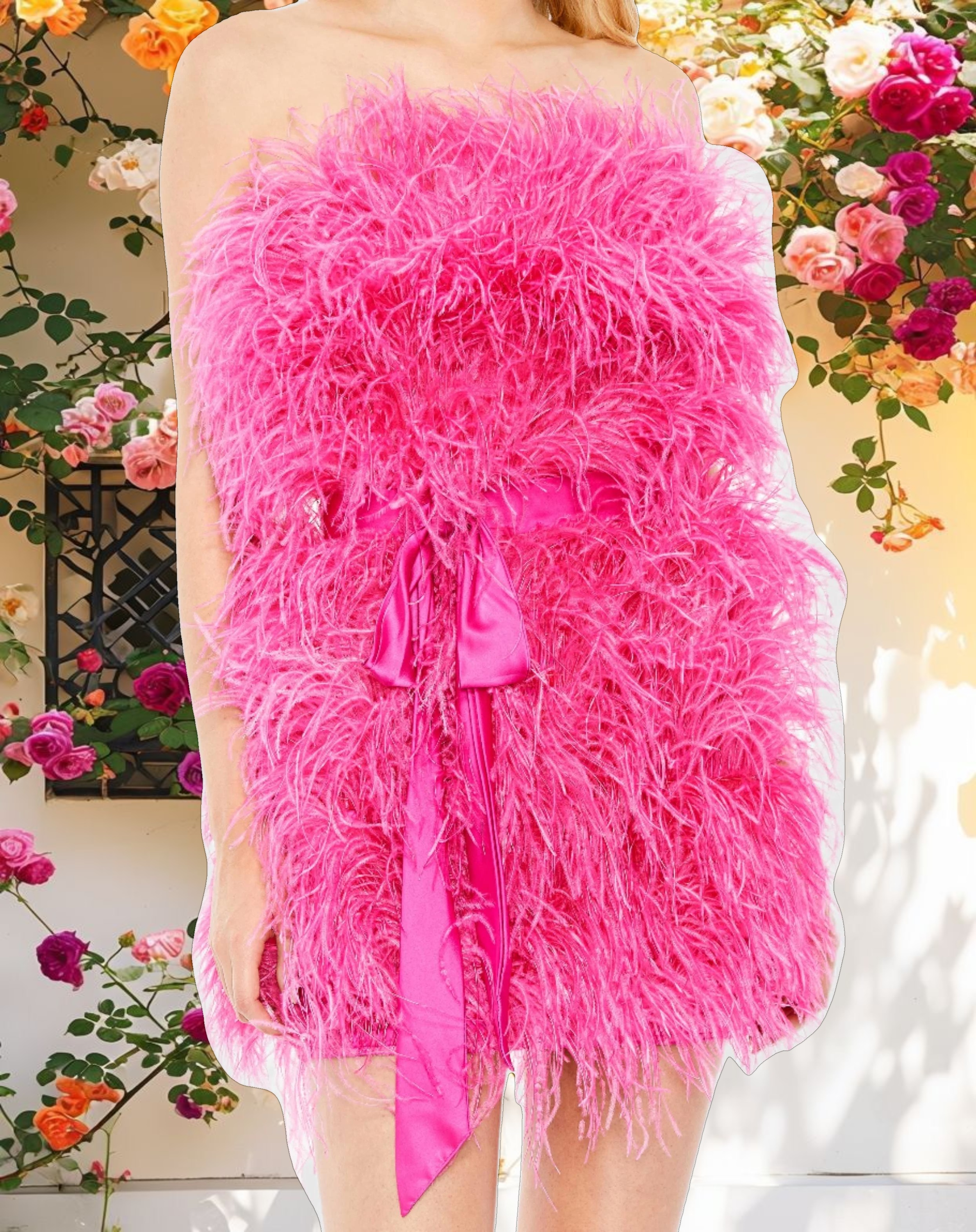 Feather Embellished Mini Dress