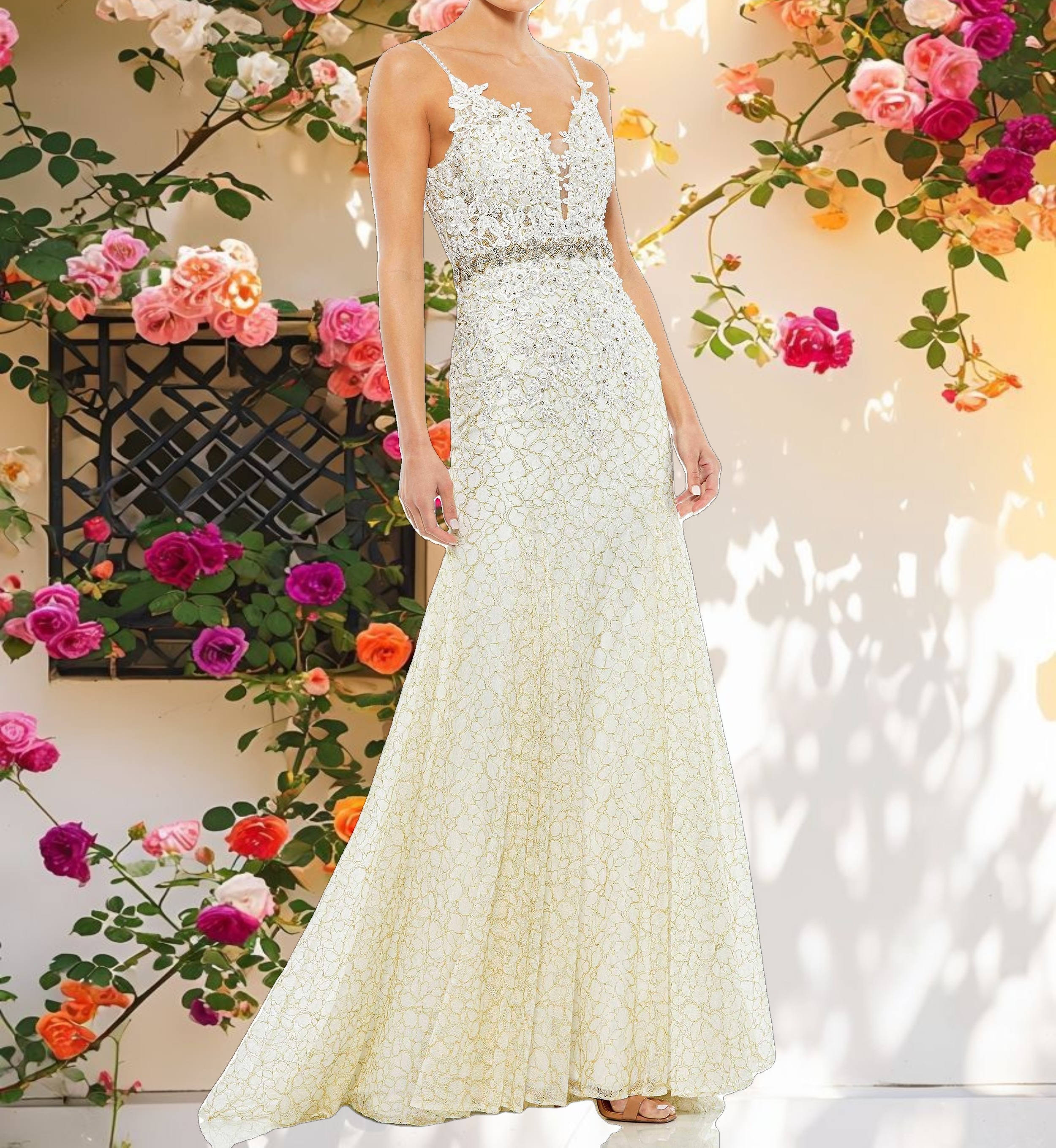 White Embroidered Sleeveless V-Neck Gown