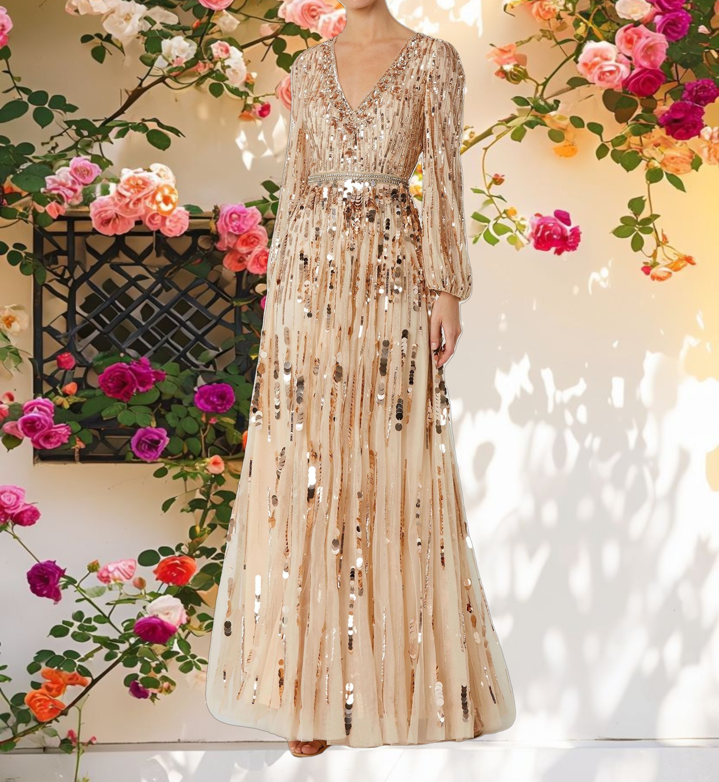 Embellished Mesh Long Sleeve V Neck Gown