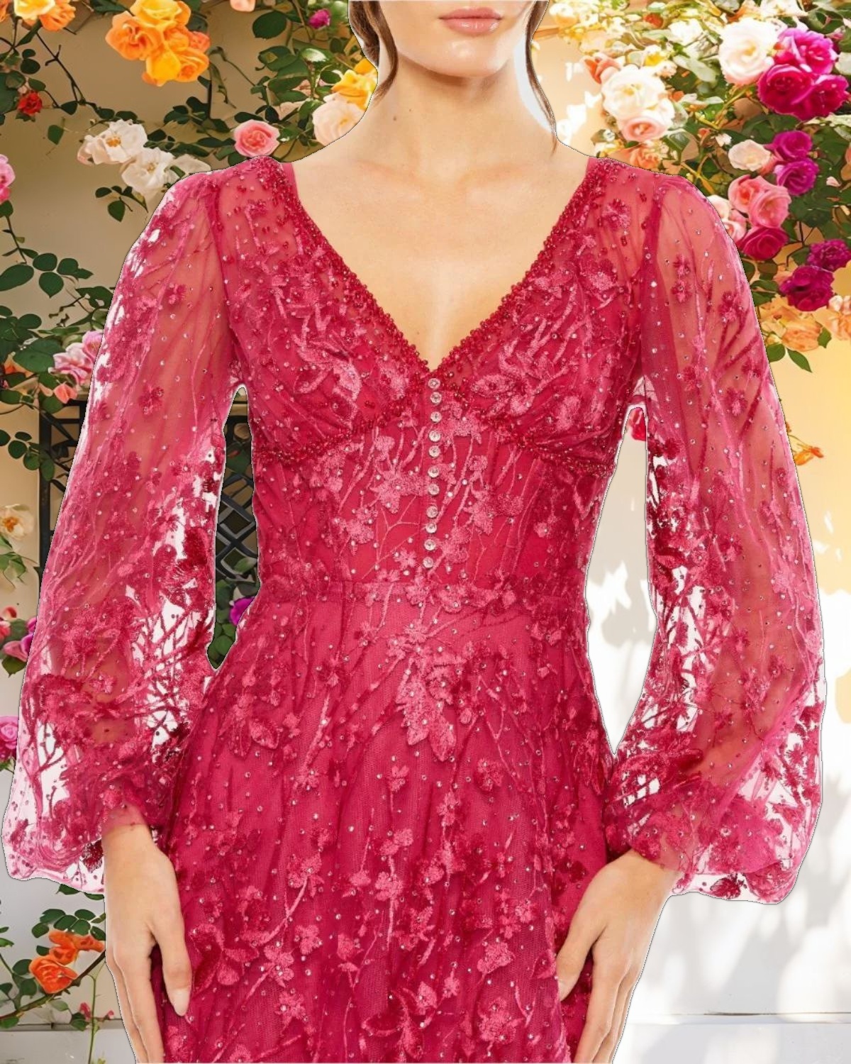 Elegant Embroidered Gown