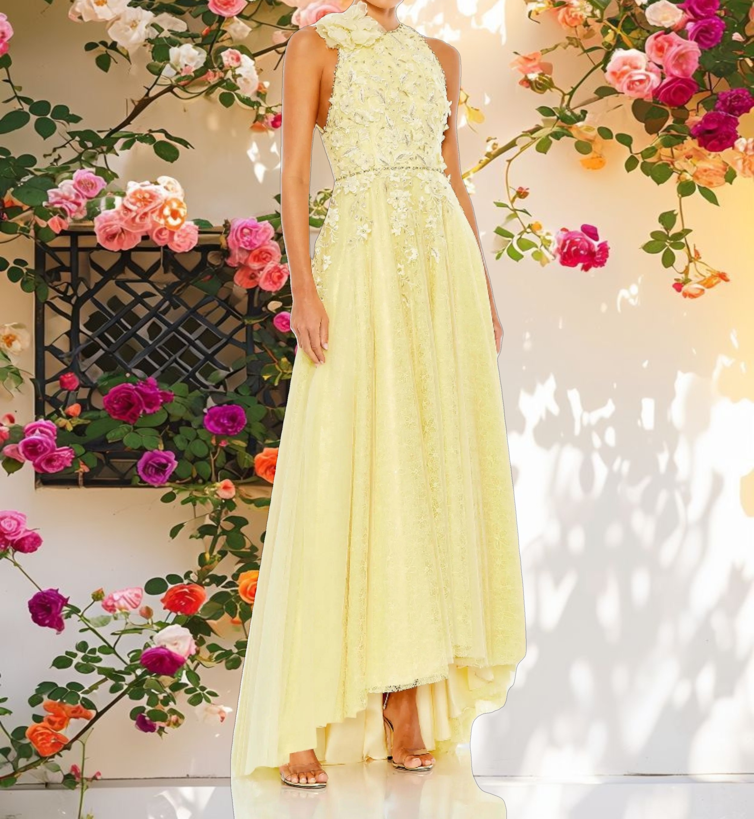 Embellished High Neck Sleeveless A Line Gown