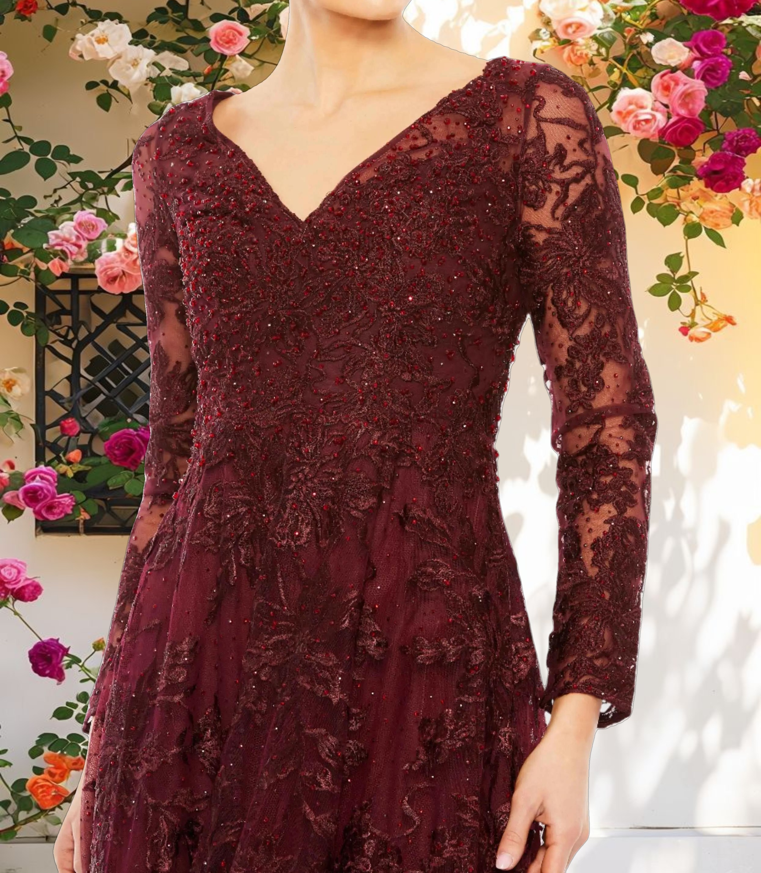 Embroidered Illusion Long Sleeve V Neck Gown