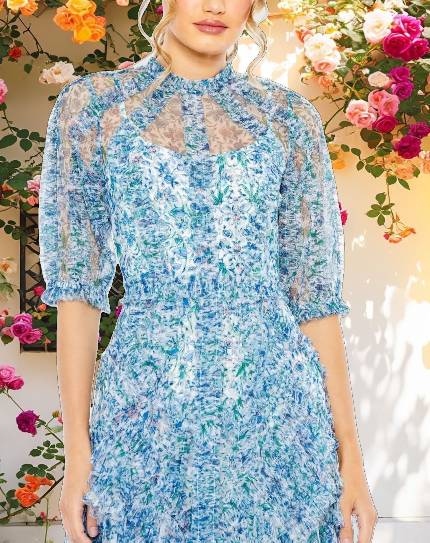 Blue Mesh Puff Sleeve Floral Print Dress
