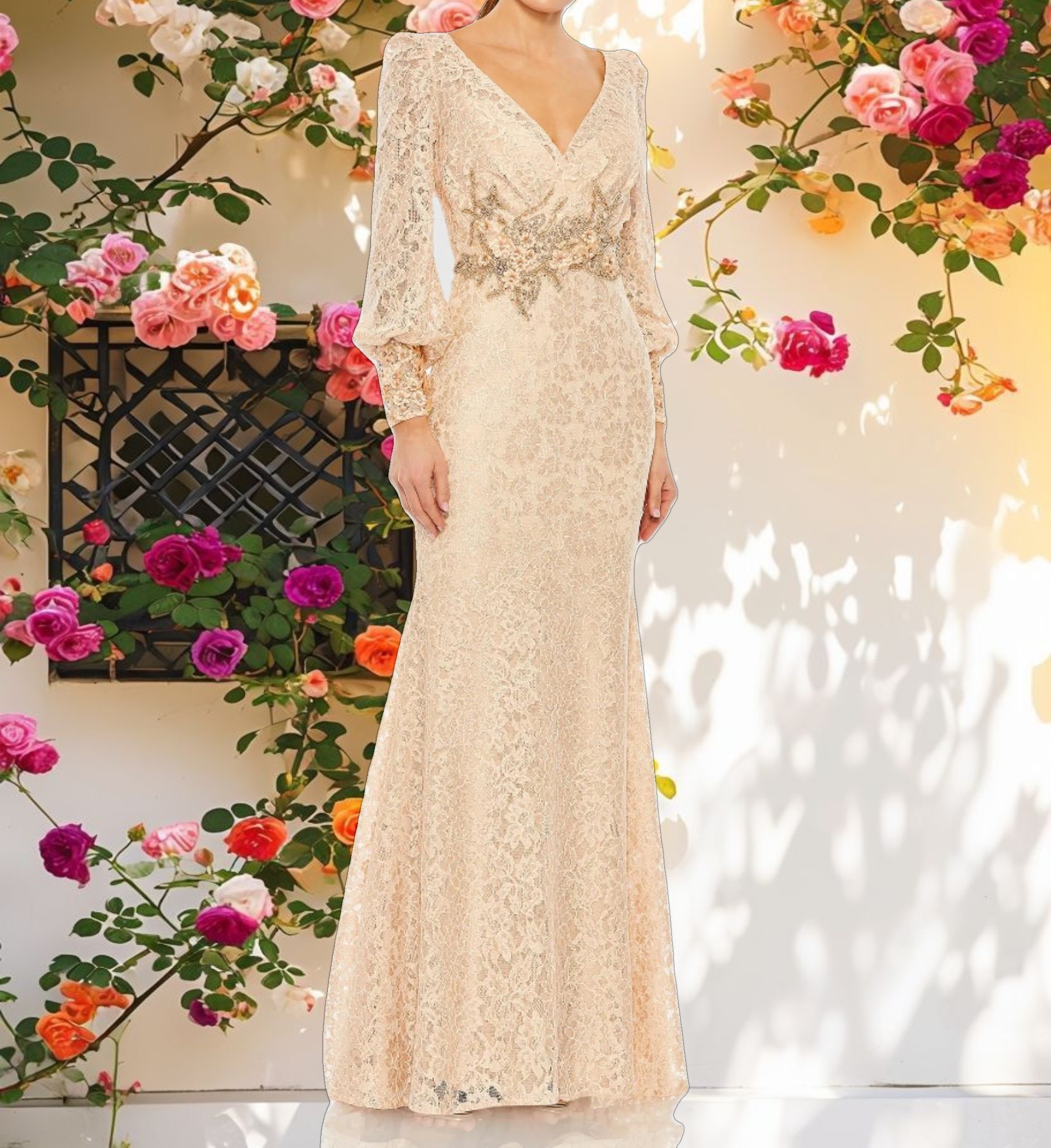 Lace Embellished Gown