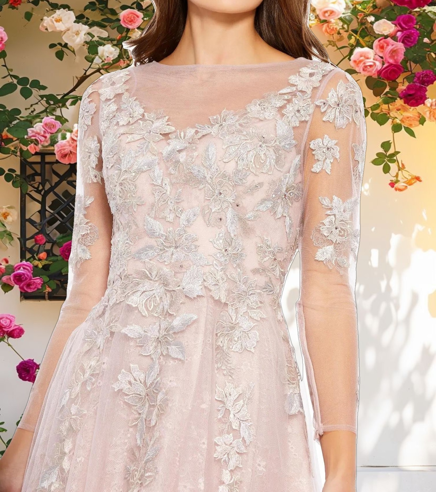 Embroidered Illusion Long Sleeve A Line Dress