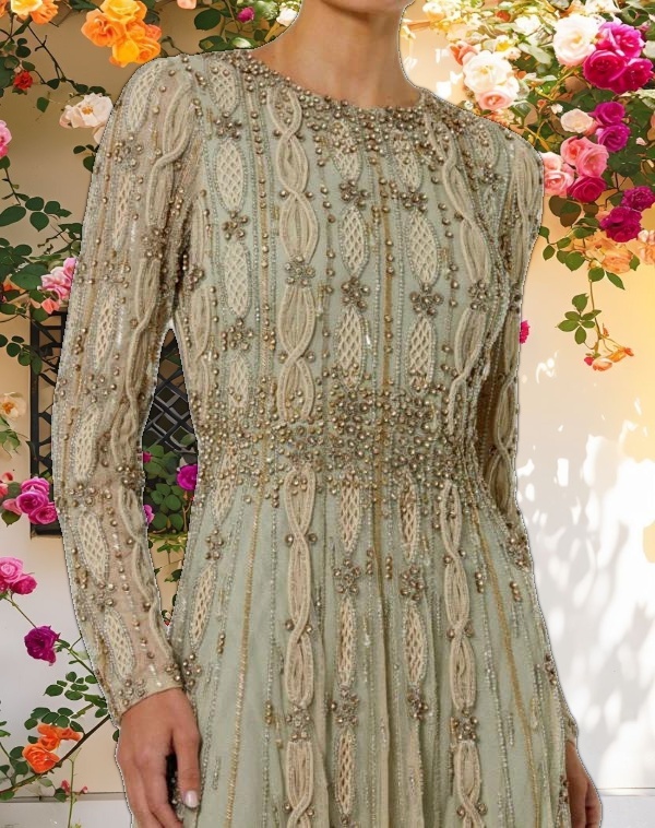 Elegant Embellished Mesh Long Sleeve A Line Gown