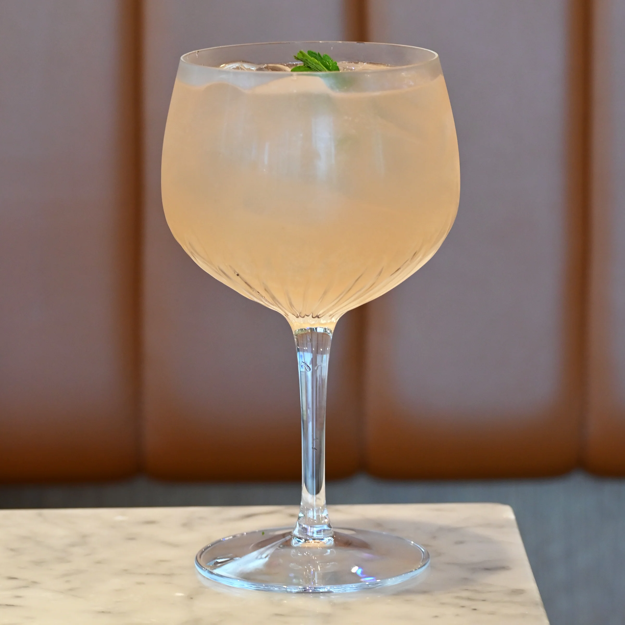 Italian Premium American Gin Glasses | 27oz | Gin & Tonic | Set of 2