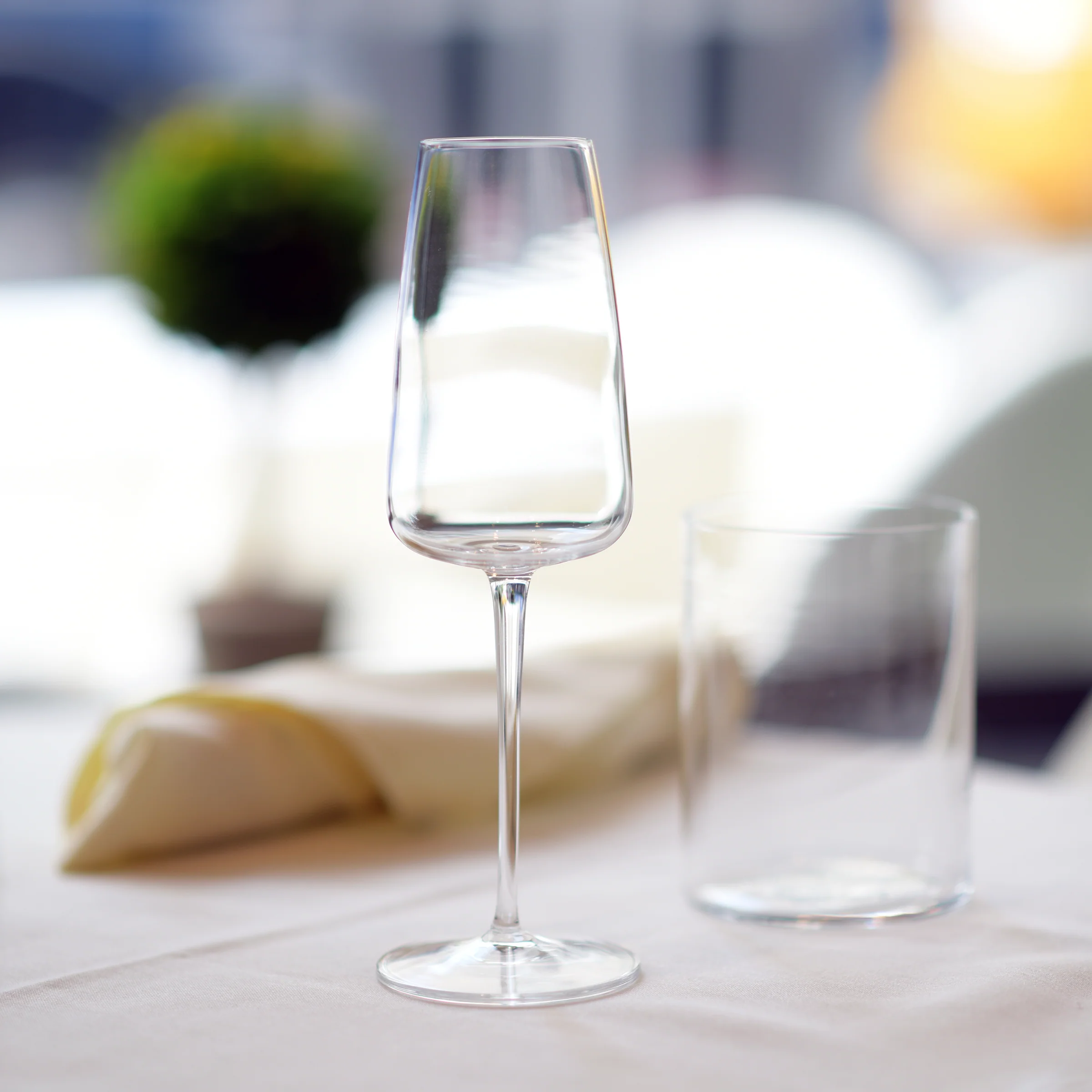 Talismano 7 oz Prosecco / Sparkling Small Wine Glasses (Set Of 4)