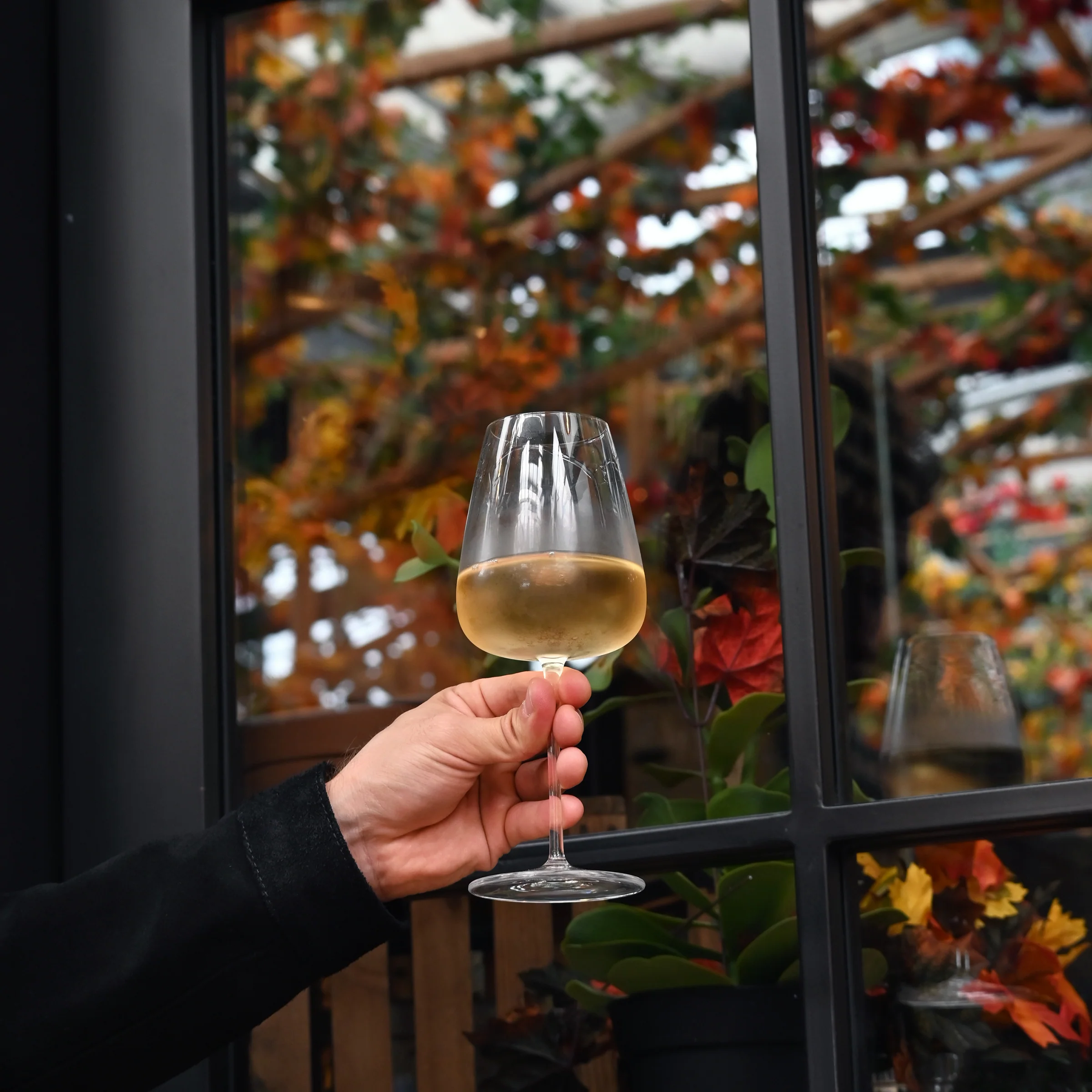 Italian Premium Chardonnay White Wine Glasses | 18.5oz | Talismano | Set of 4