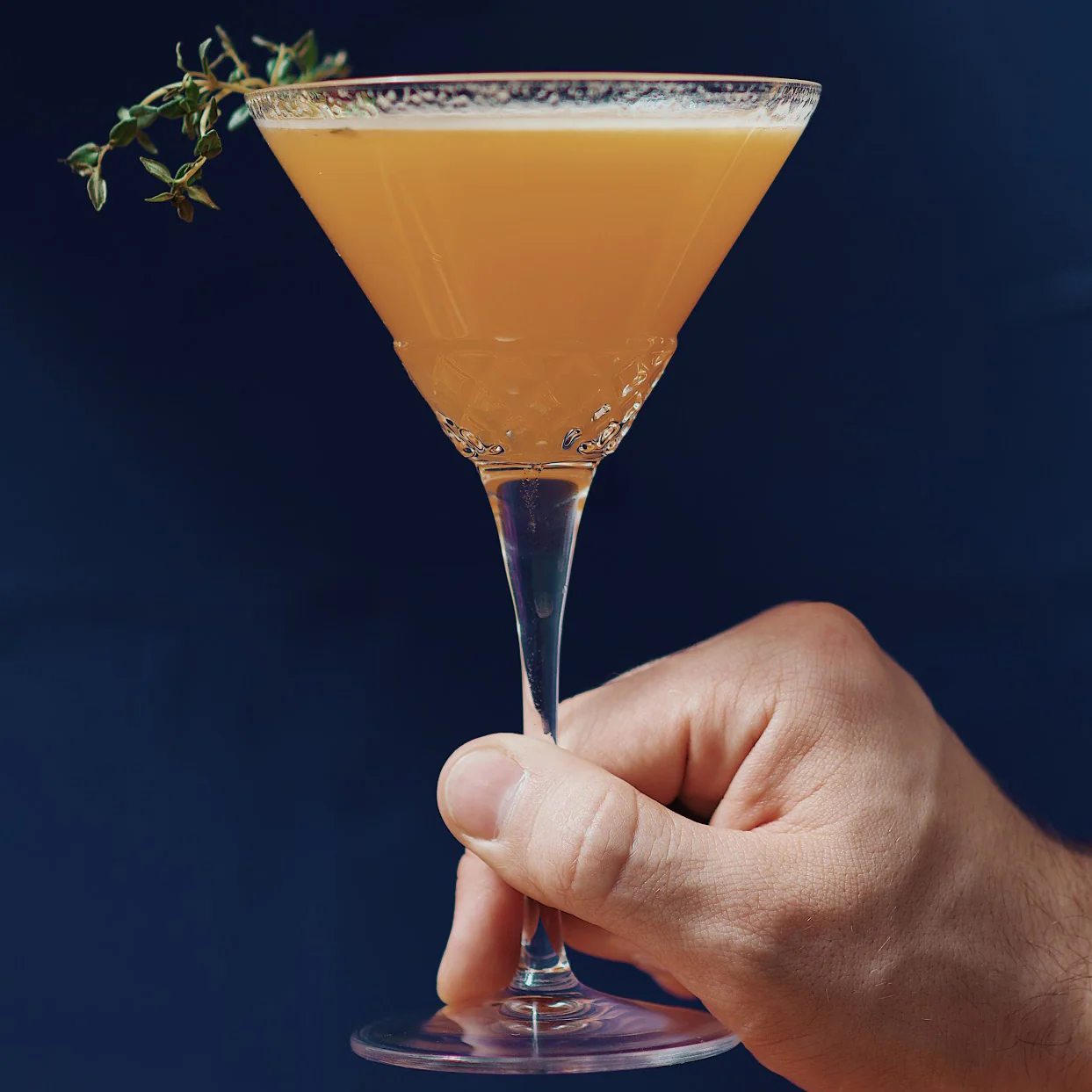 Roma 1960 7.5 oz Martini Glasses (Set Of 4)