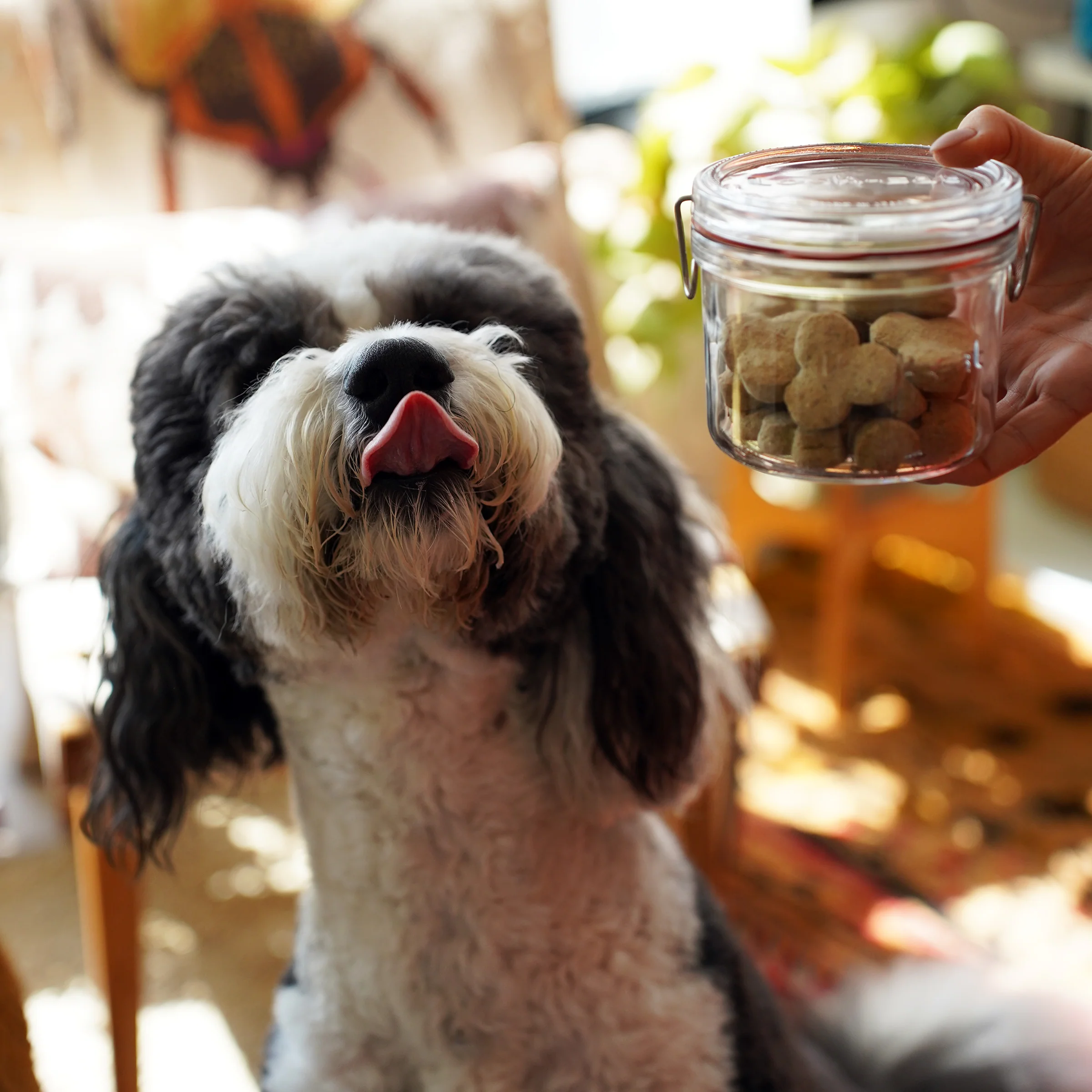 Italian Premium Canning & Food Jar XL | 17oz | Lock-Eat | 1 Piece