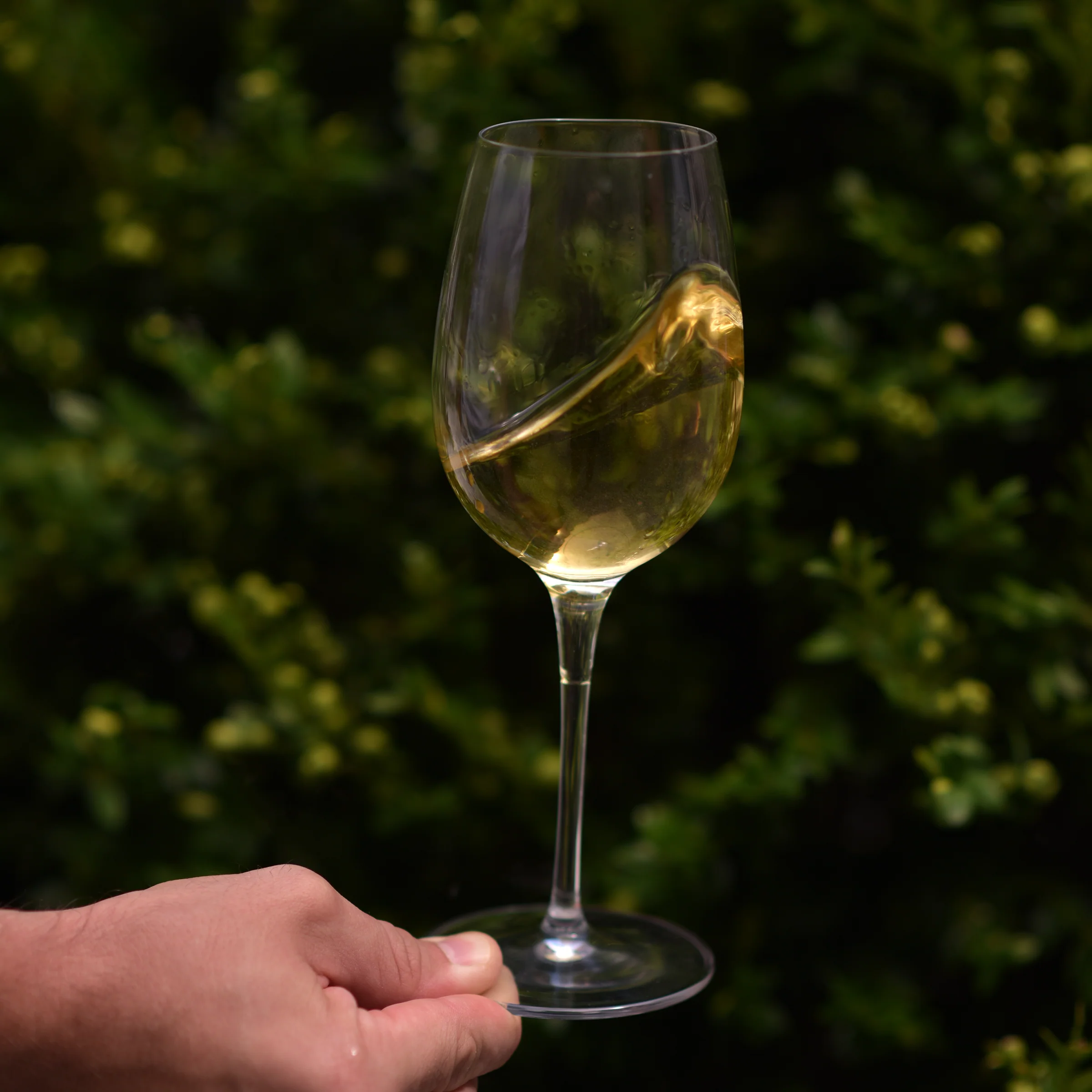 Italian Premium Chardonnay White Wine Glasses | 12.75oz | Crescendo | Set of 4