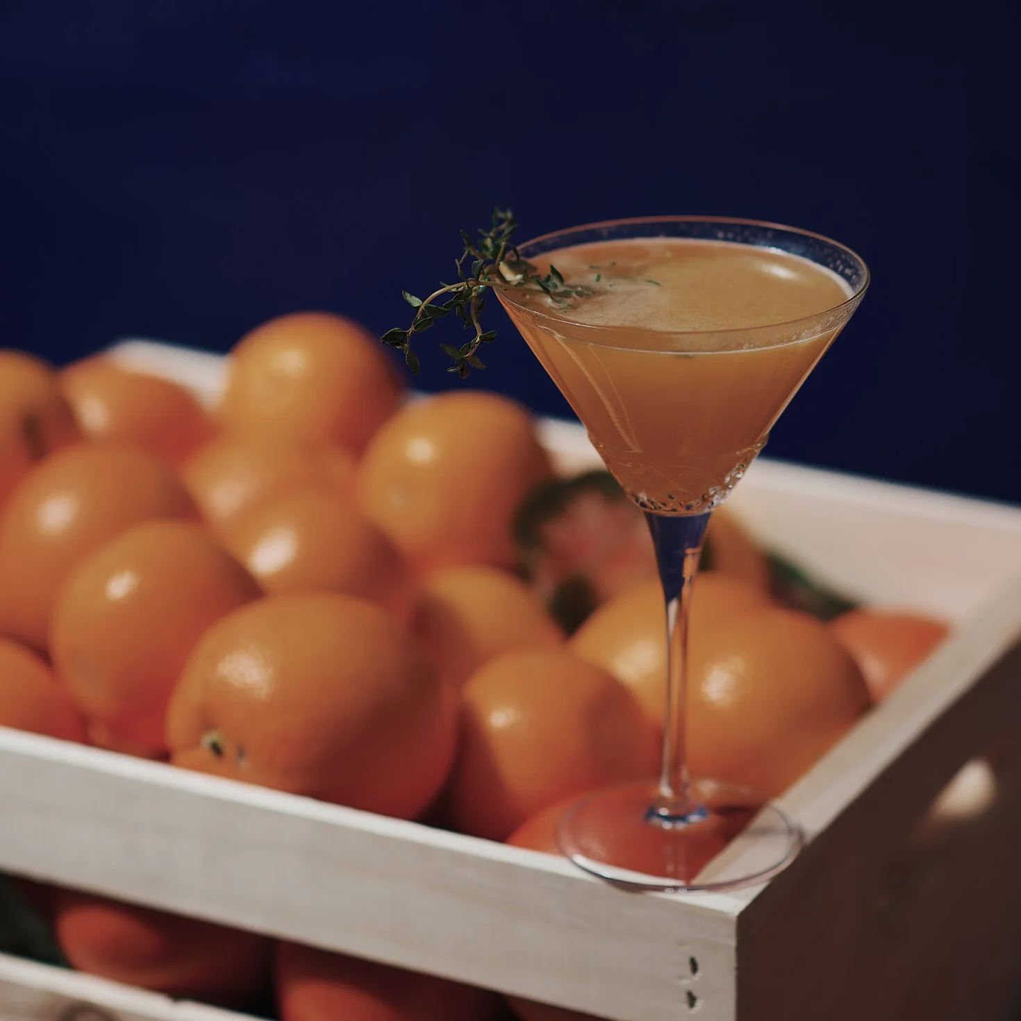 Roma 1960 7.5 oz Martini Glasses (Set Of 4)