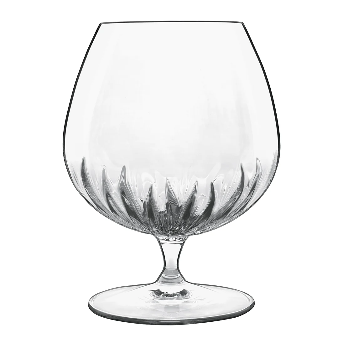 Italian Premium Cognac Glasses | 15.75oz | Mixology | Set of 6