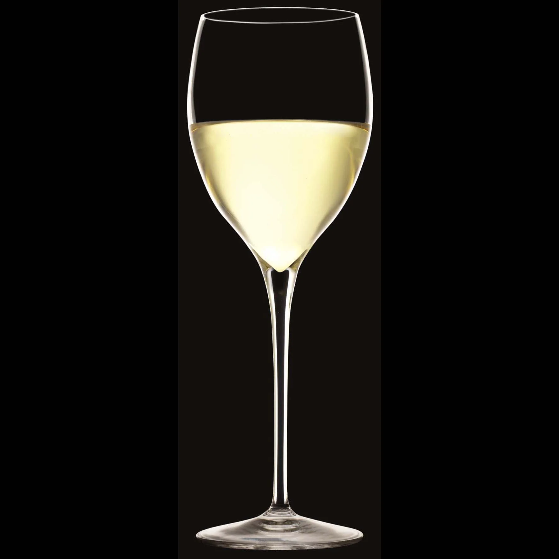 Italian Premium Small White Wine Glasses | 11.75oz | Magnifico | Set of 4