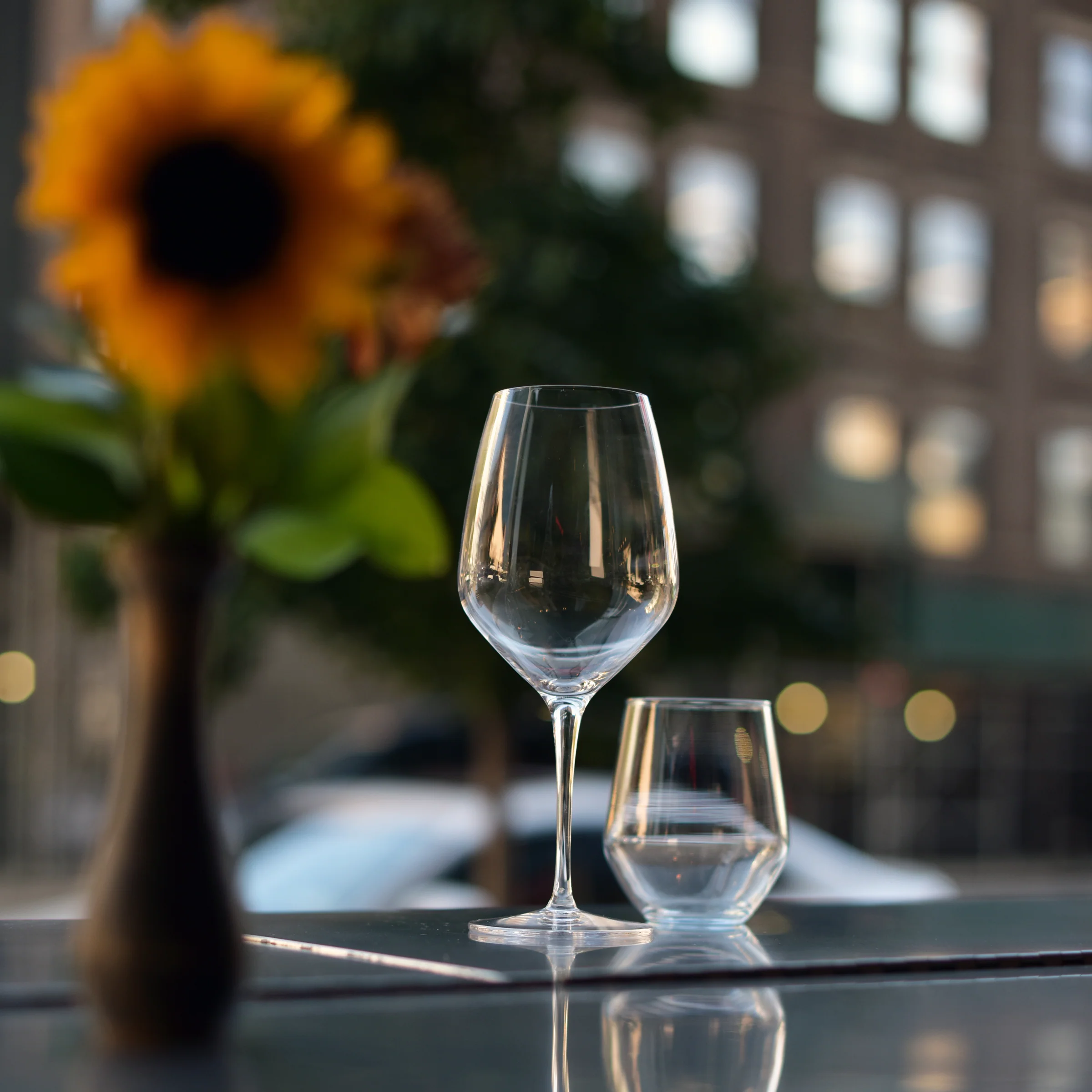 Italian Premium Riesling White Wine Glasses | 15.75oz | Atelier | Set of 6