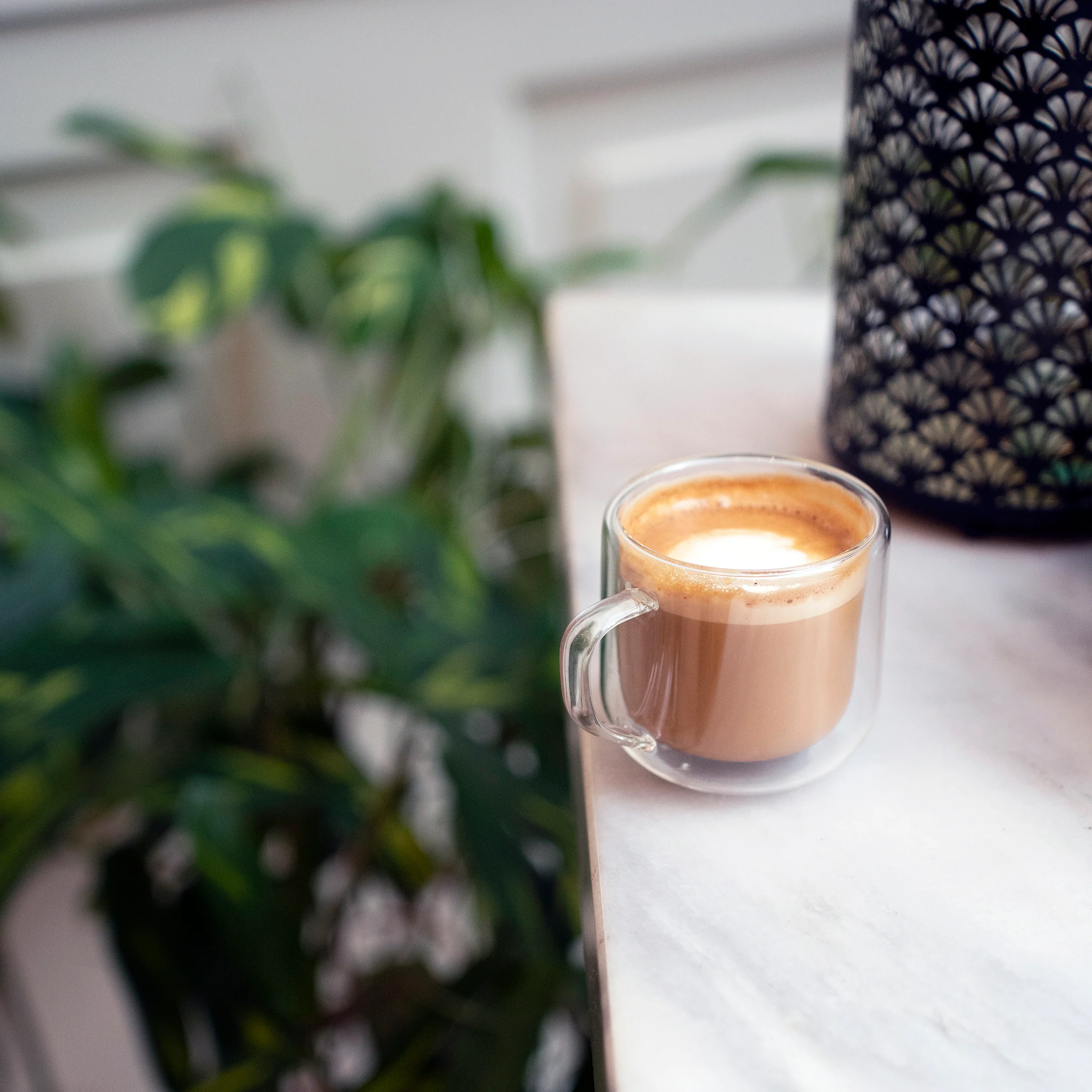 Thermic Sublime 8.1 oz Cappuccino Drinking Glasses (Set of 2)