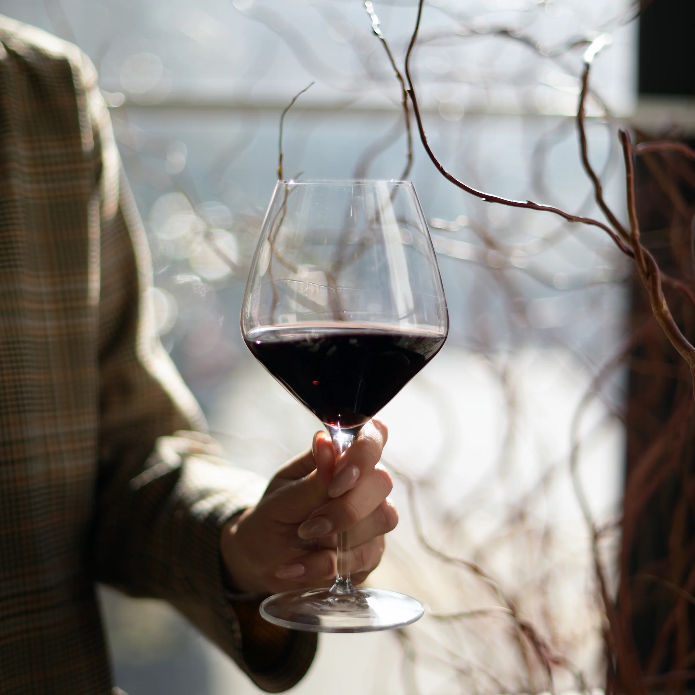 Regency 20.75 oz Pinot Noir Red Wine Glasses (Set Of 4)