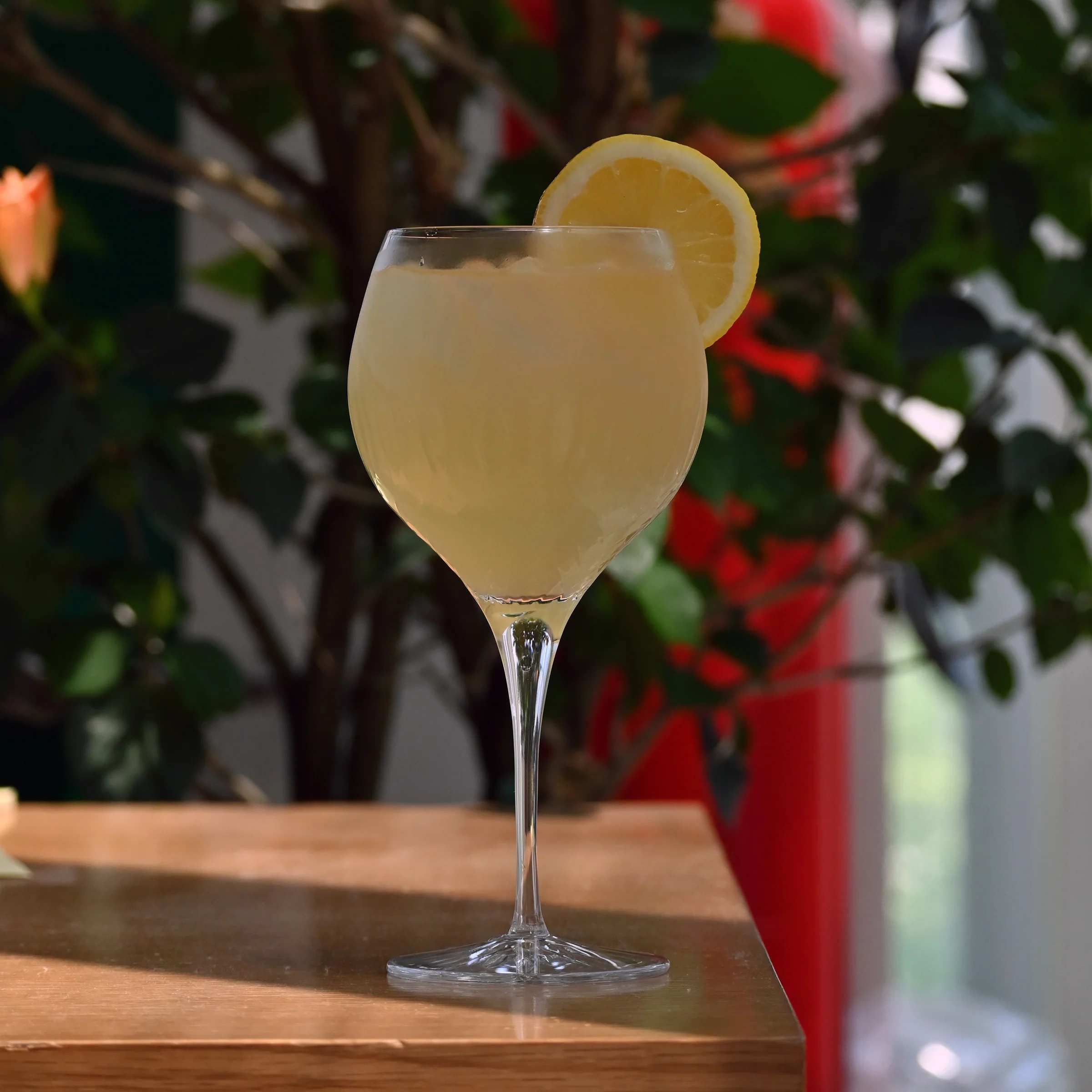 Italian Premium Assorted Gin Glasses | Mixology | 4pc Set