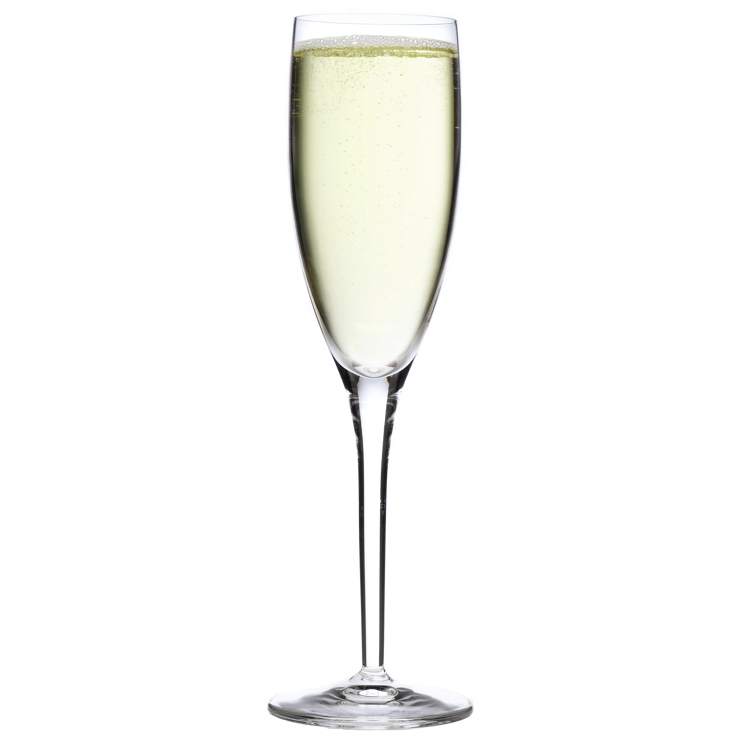 Italian Premium Champagne Flute | 6.75oz | Michelangelo Masterpiece | Set of 4