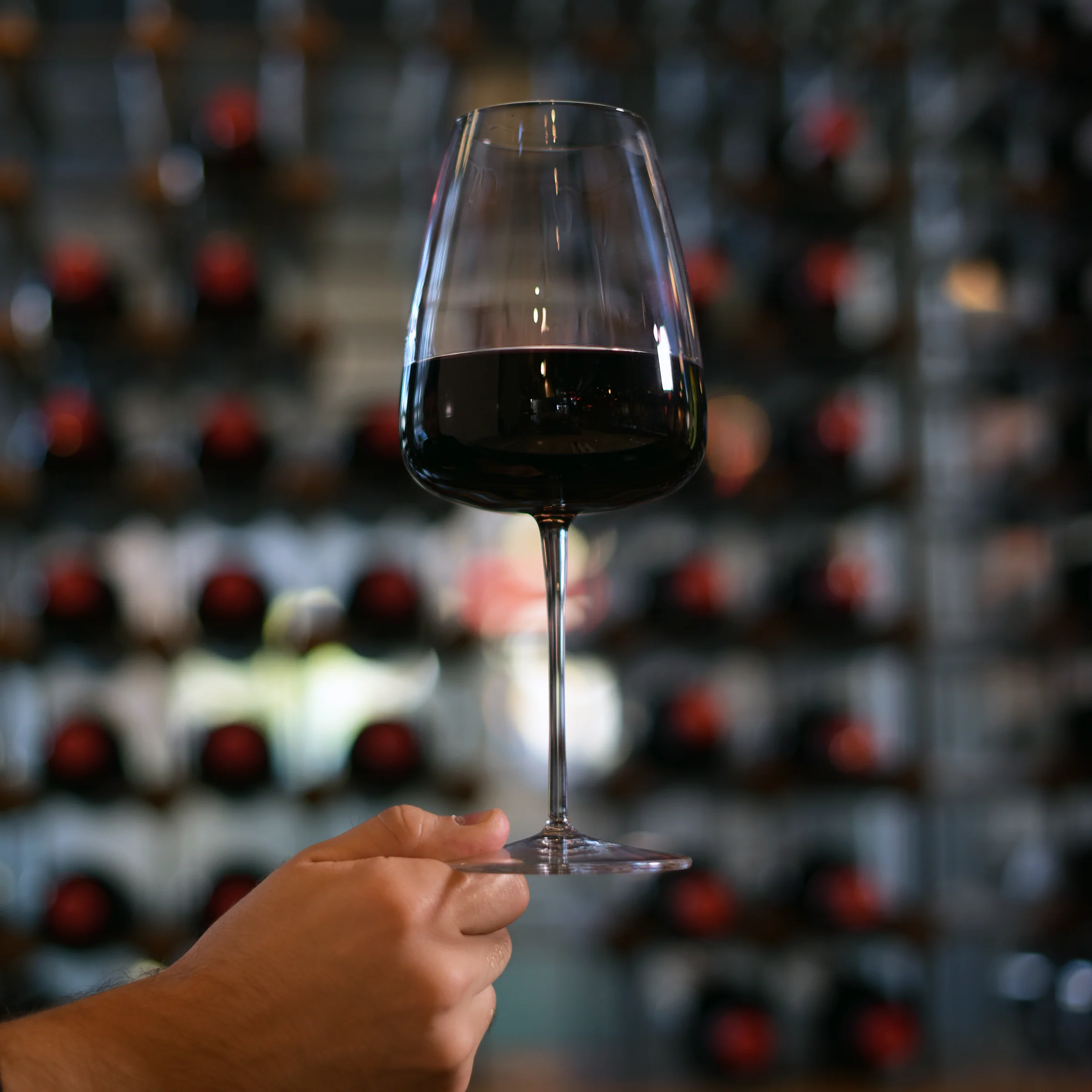 Talismano 23.75 oz Bordeaux Red Wine Glasses (Set of 4)