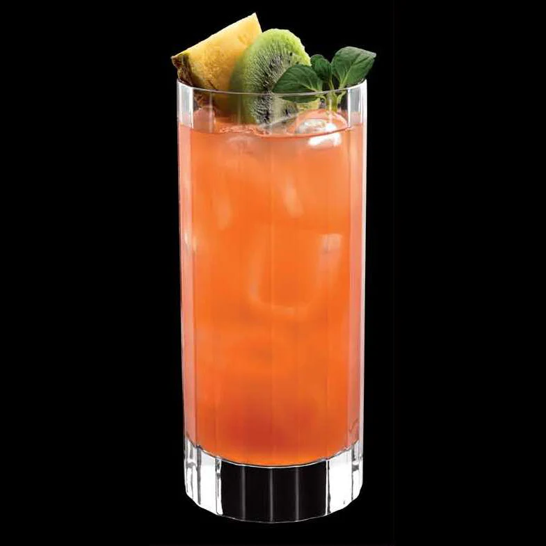 Italian Premium Retro Highball Glasses | 16.25oz | Bach | Set of 4