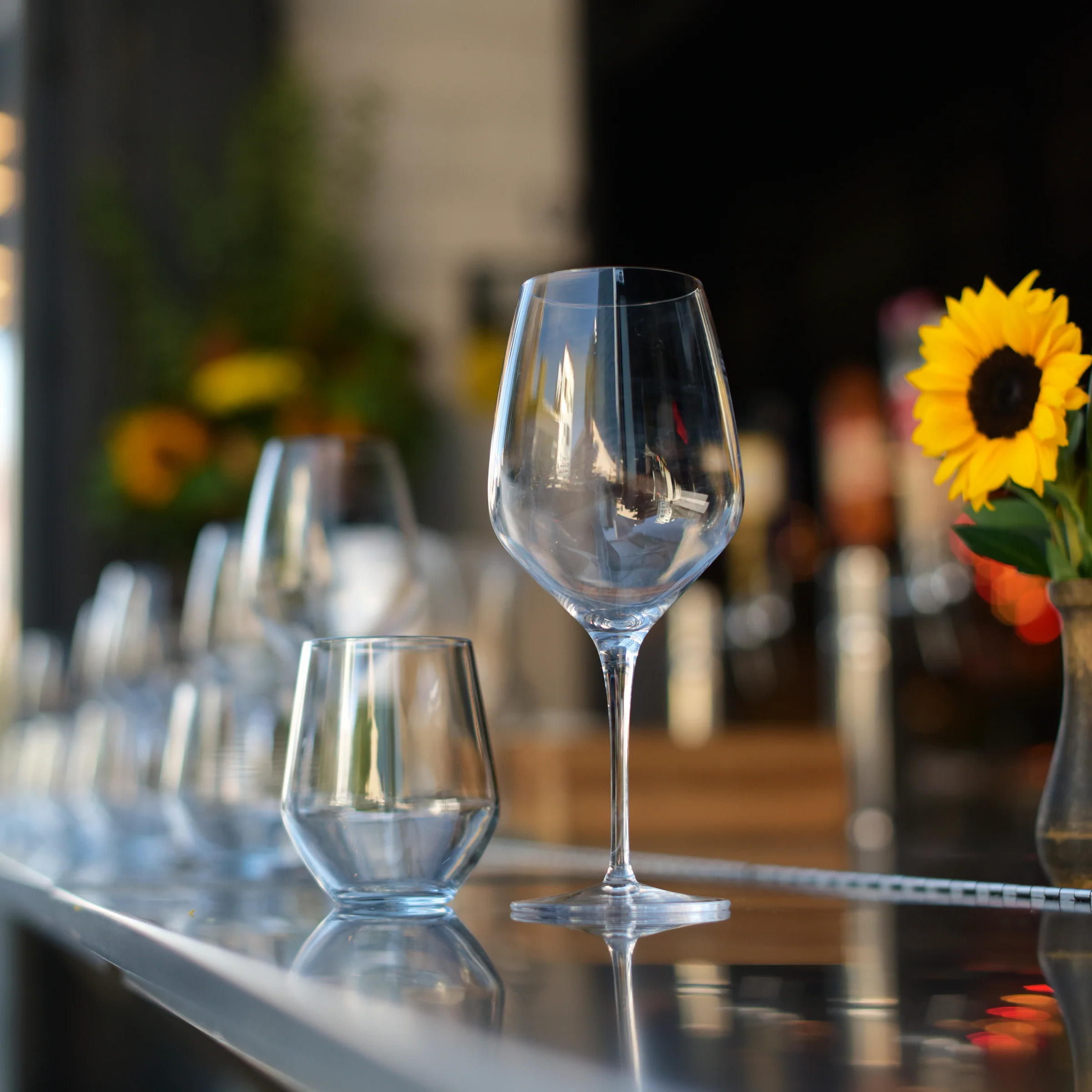 Italian Premium Riesling White Wine Glasses | 15.75oz | Atelier | Set of 6