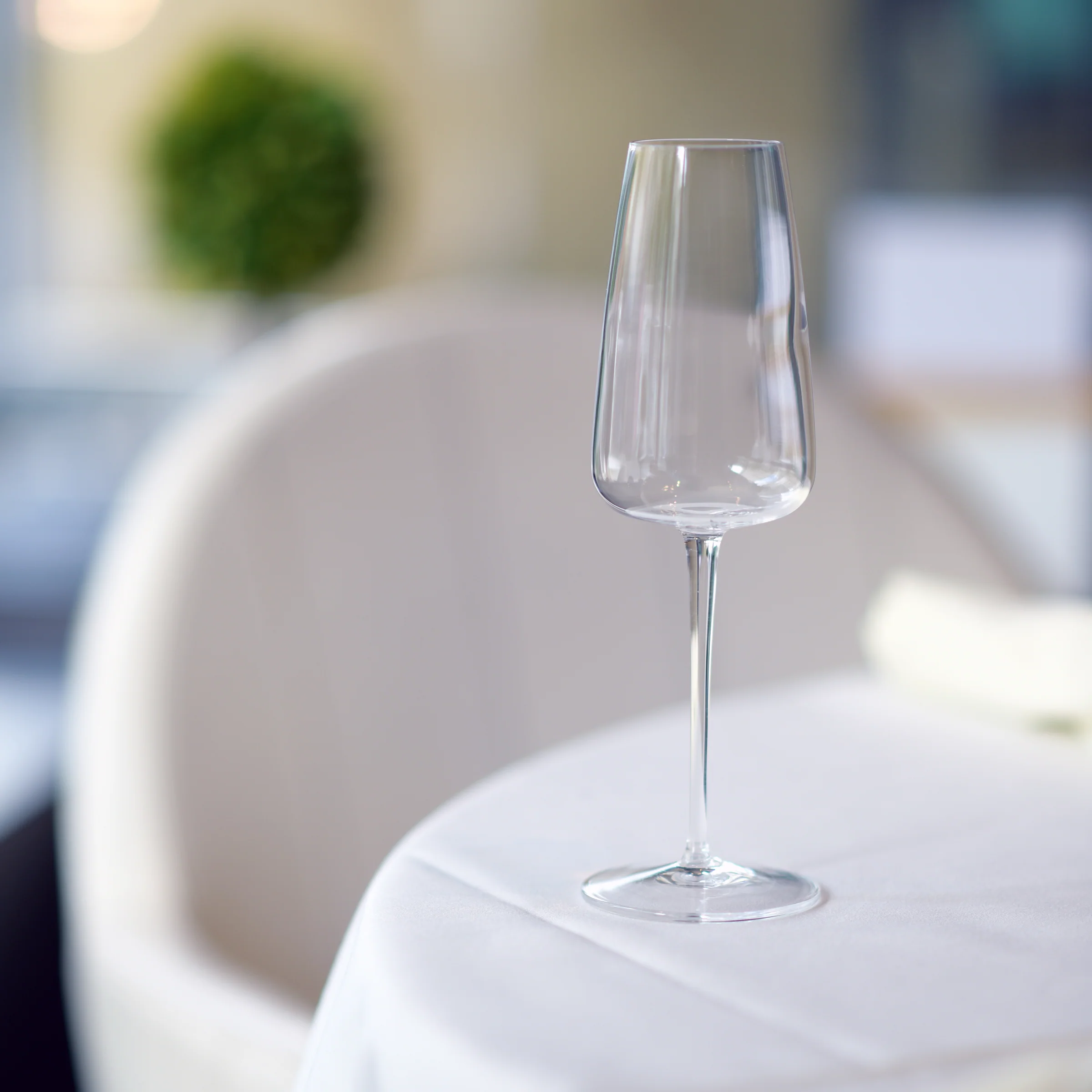 Talismano 7 oz Prosecco / Sparkling Small Wine Glasses (Set Of 4)