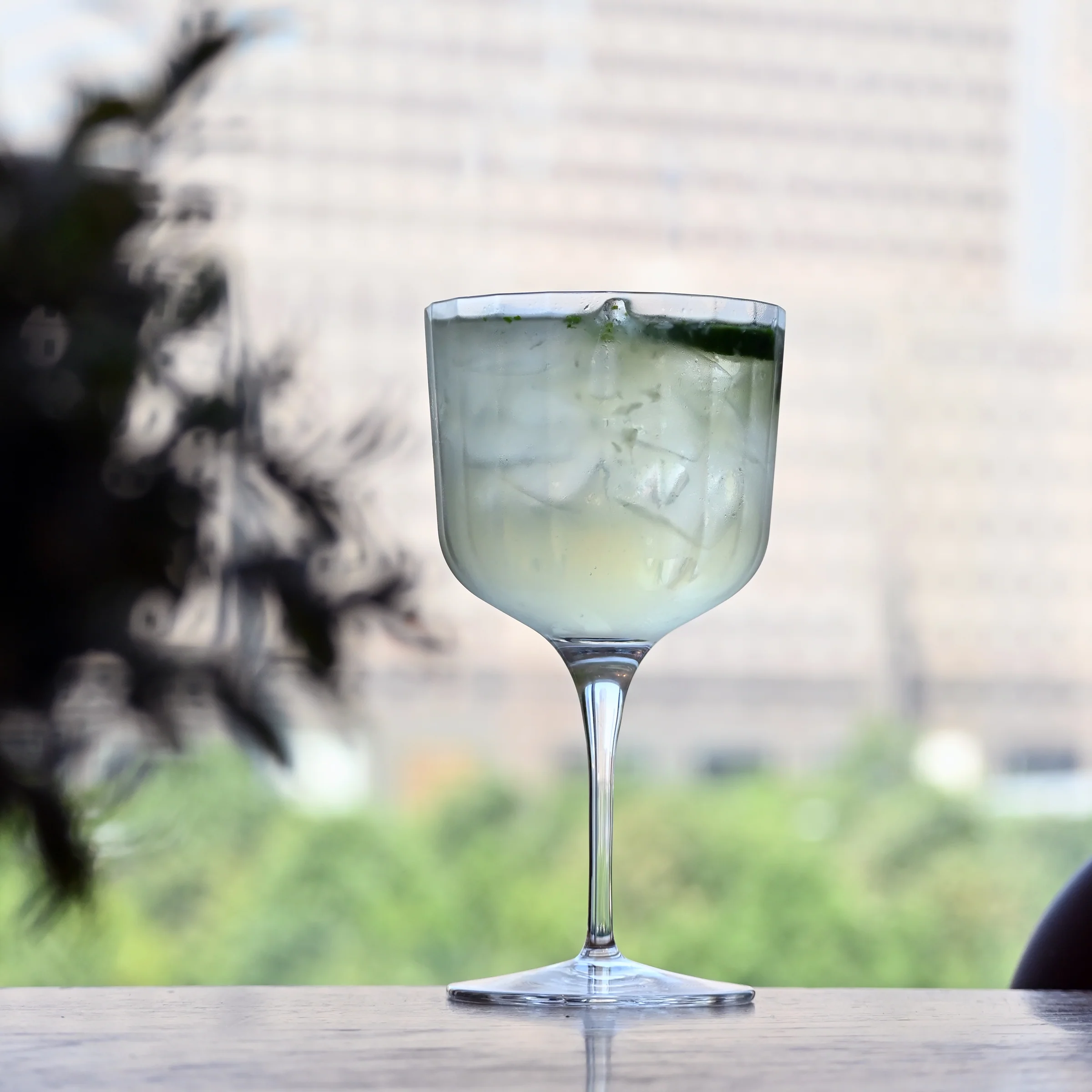 Italian Premium Sloe Gin Glasses | 20.25oz | Gin & Tonic | Set of 2