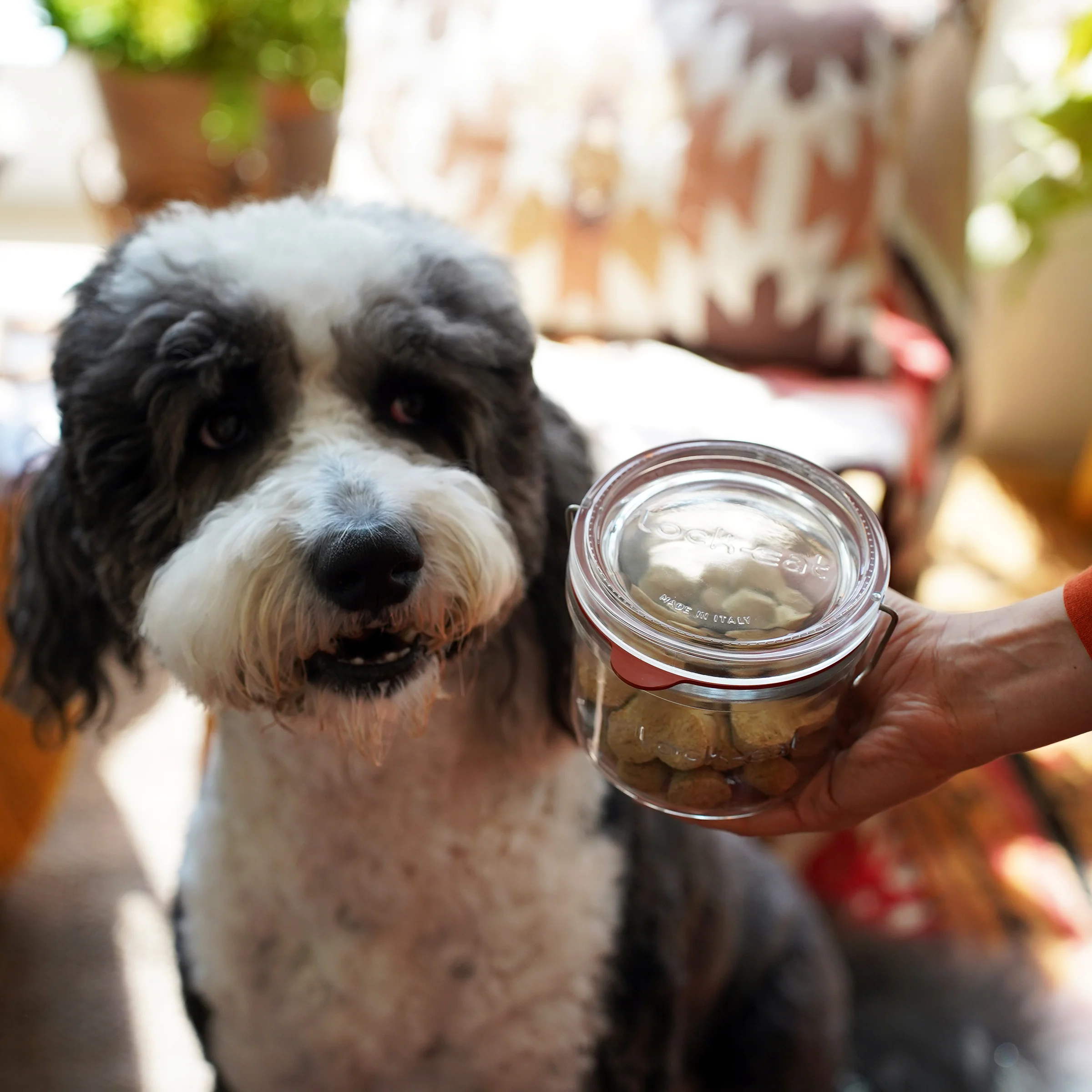 Italian Premium Canning & Food Jar XL | 17oz | Lock-Eat | 1 Piece