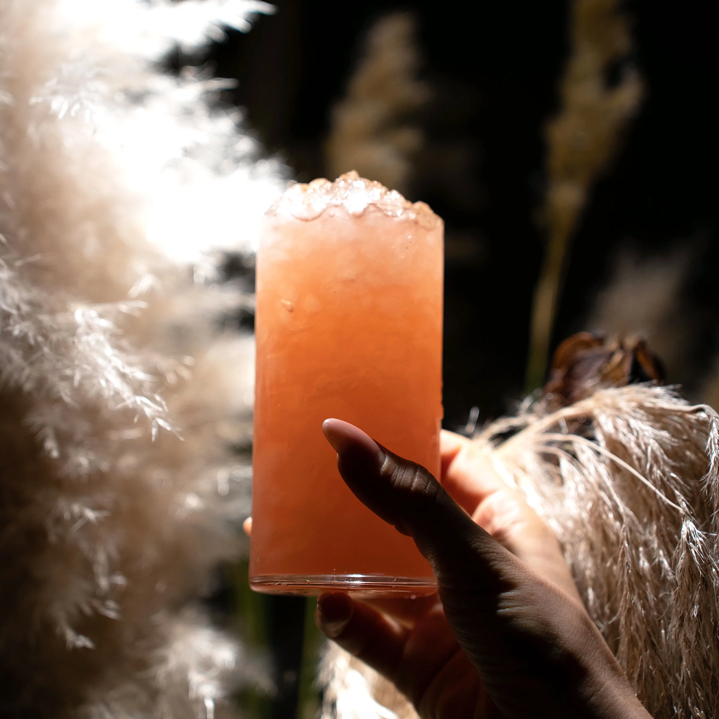 Italian Premium Highball Glasses | 11.75oz | Top Class | Set Of 6