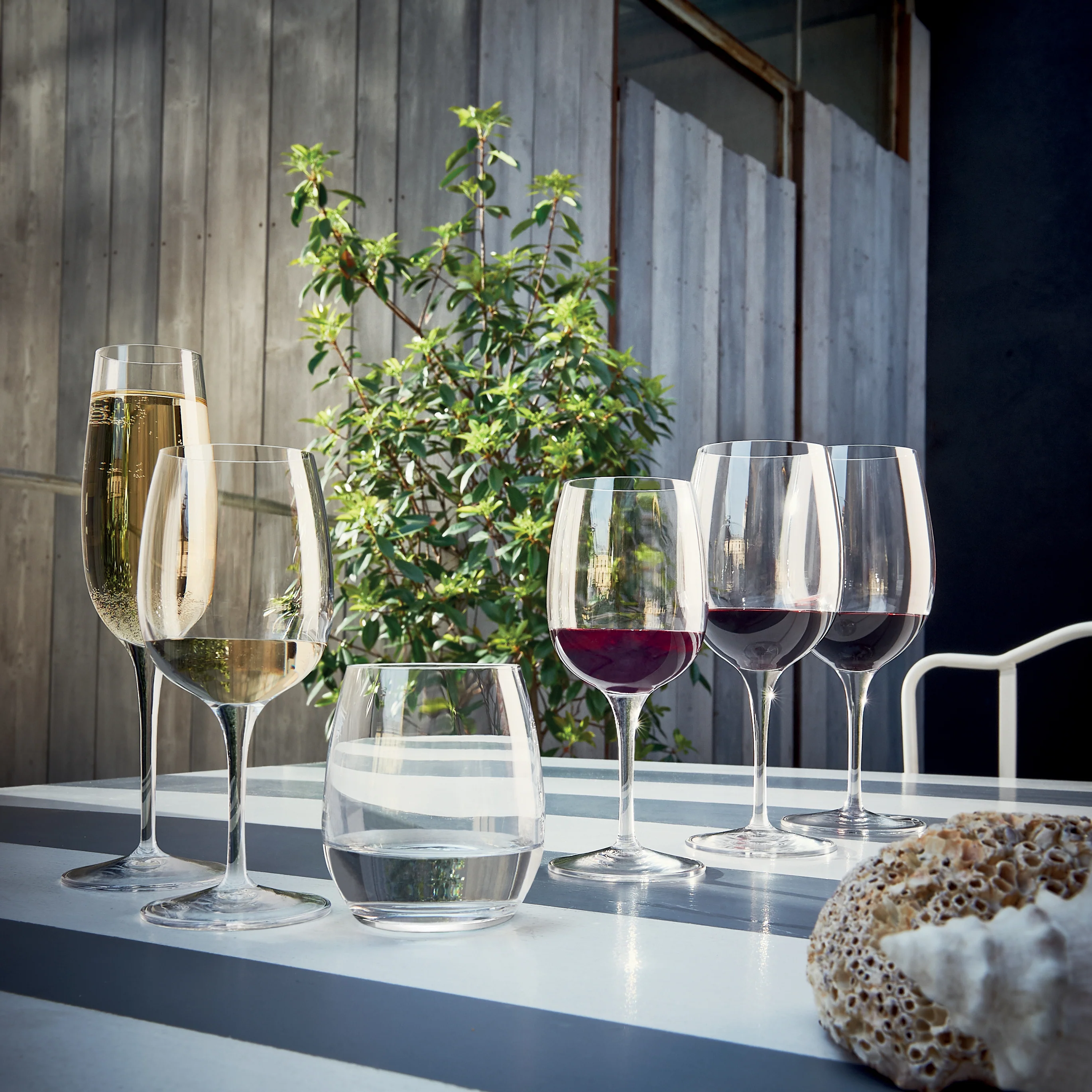 Palace 8 oz Flute for Sparkling Wine (Set Of 6)