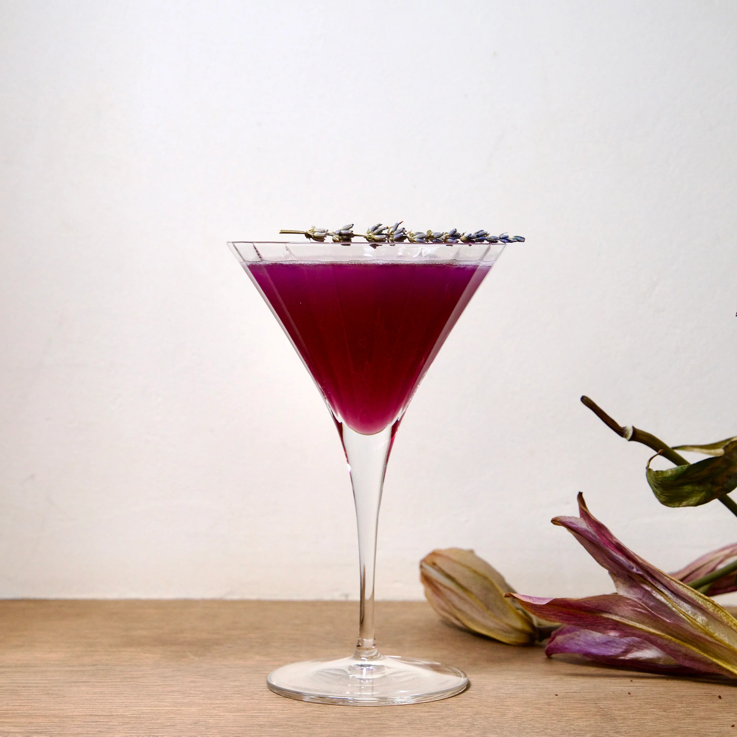 Italian Premium Retro Martini Glasses | 8.25oz | Bach | Set of 4