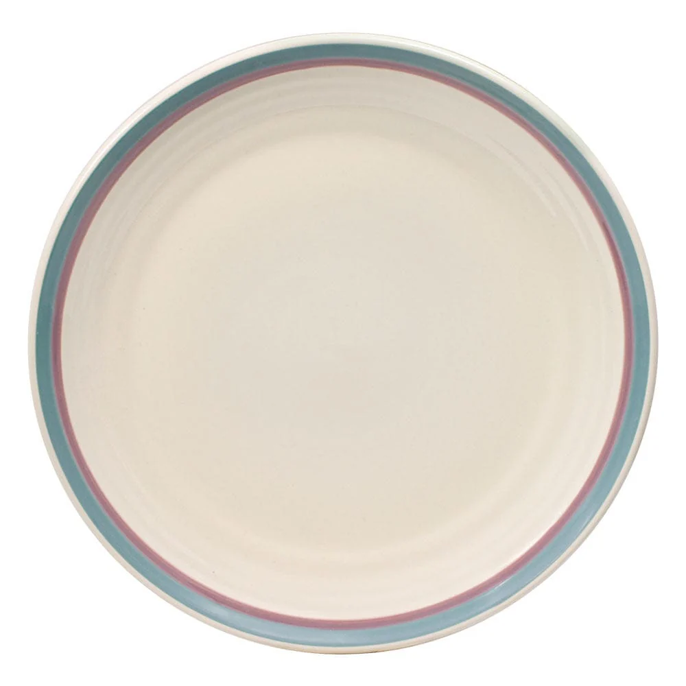 Juniper® Set of 4 Dinner Plates