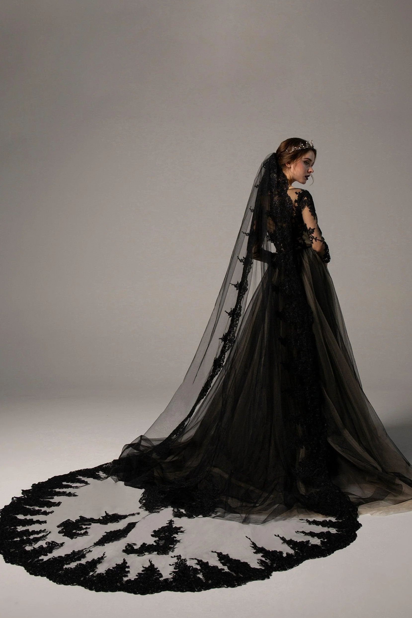 One-tier Lace Edge Tulle Cathedral Veils Appliques CV0225