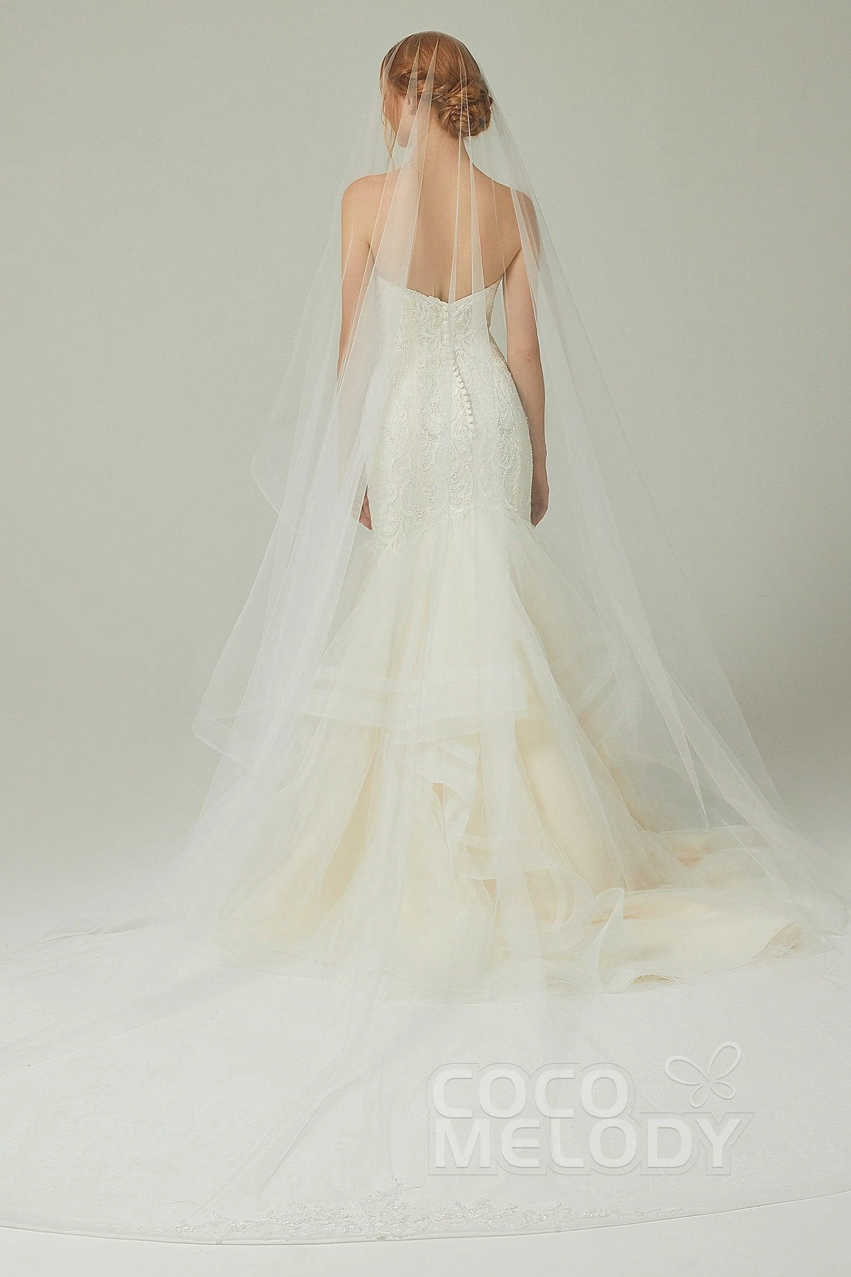 One-tier Lace Edge Tulle Cathedral Veils Appliques AV18020