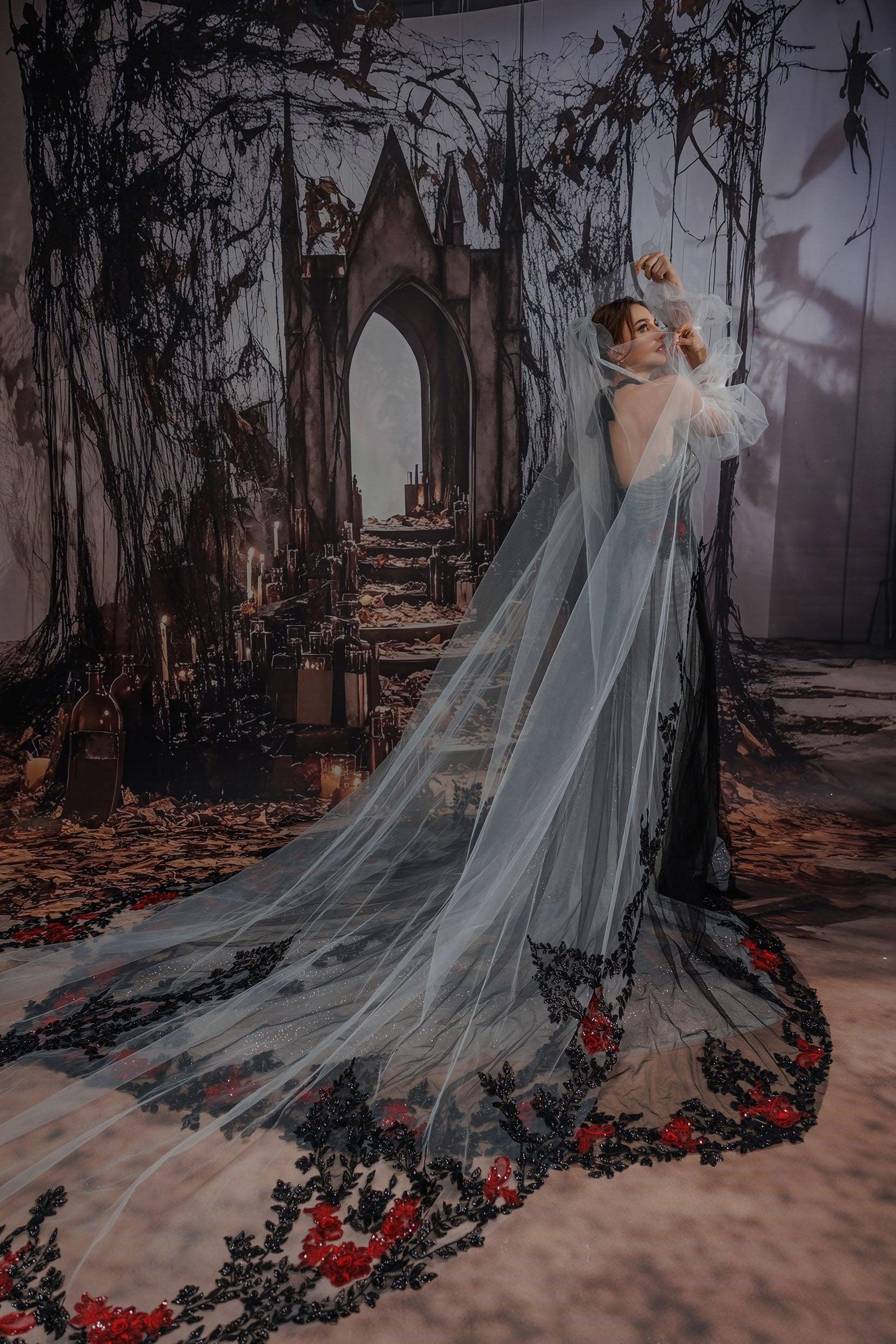 One-tier Lace Edge Tulle Cathedral Veils with Appliques Sequin CV0401