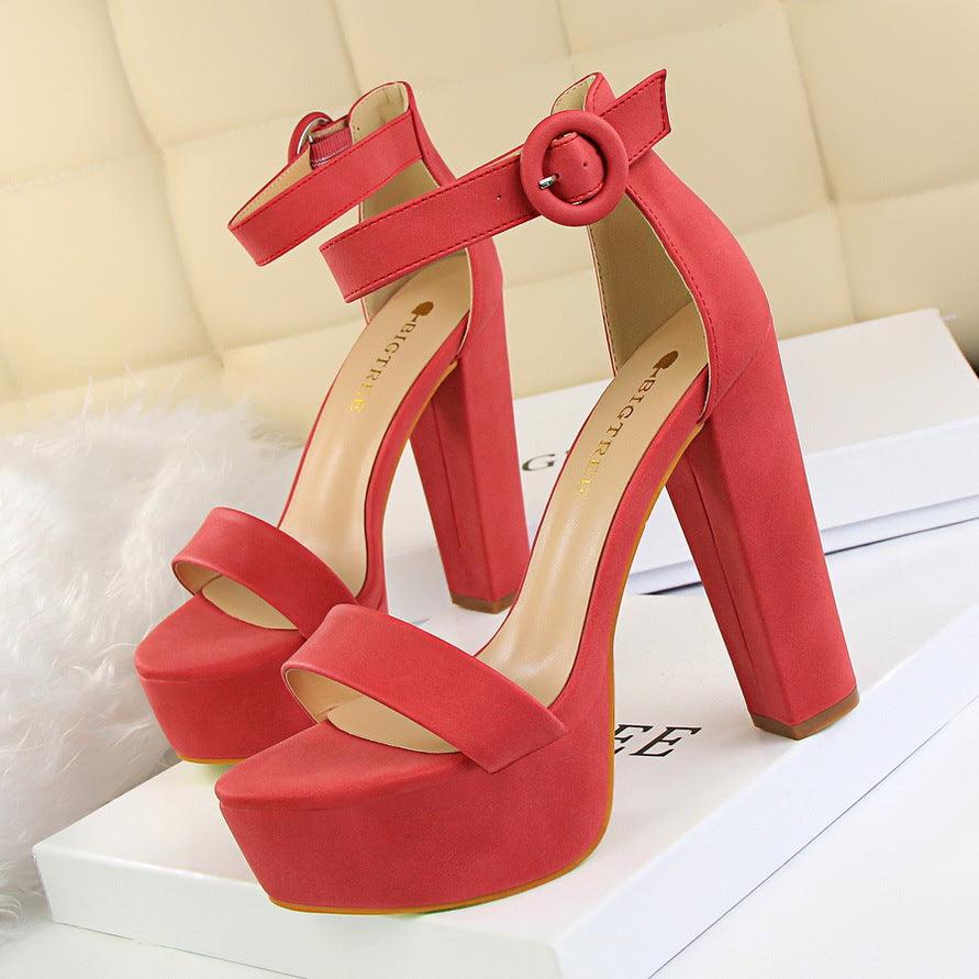 Suede Ankle Strap Block Heels 550122184120