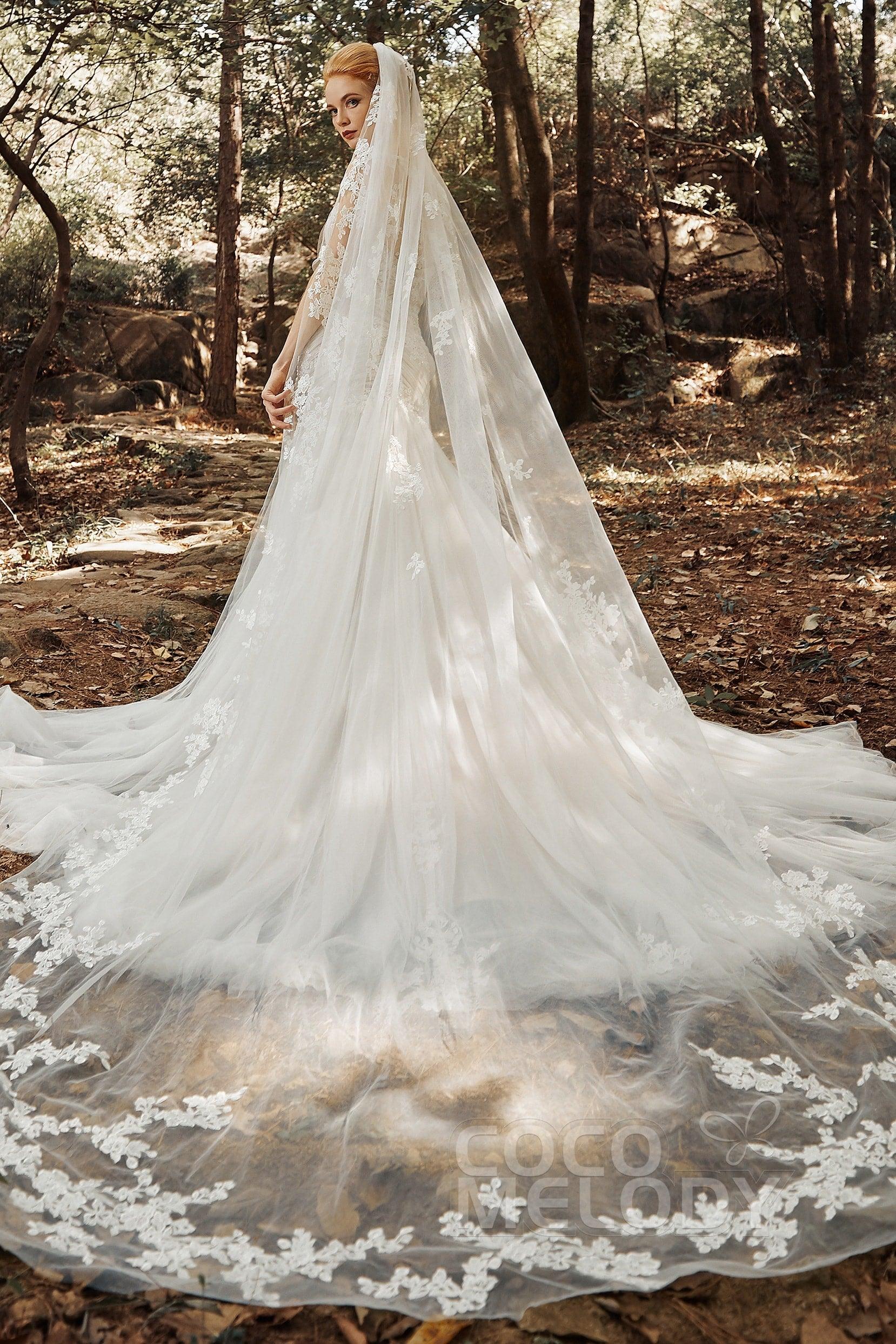 One-tier Lace Edge Tulle Cathedral Veils Appliques CV0188