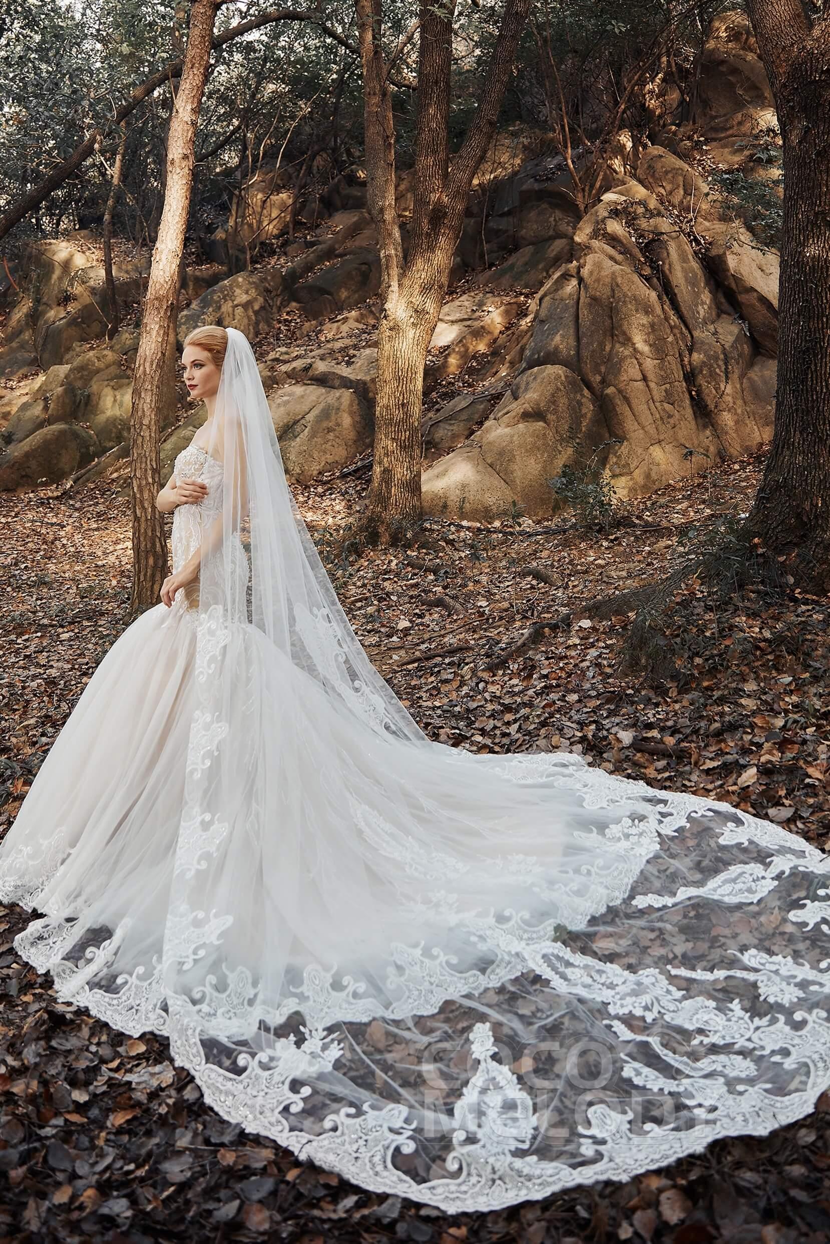 One-tier Lace Tulle Cathedral Veils Appliques Beading CV0183