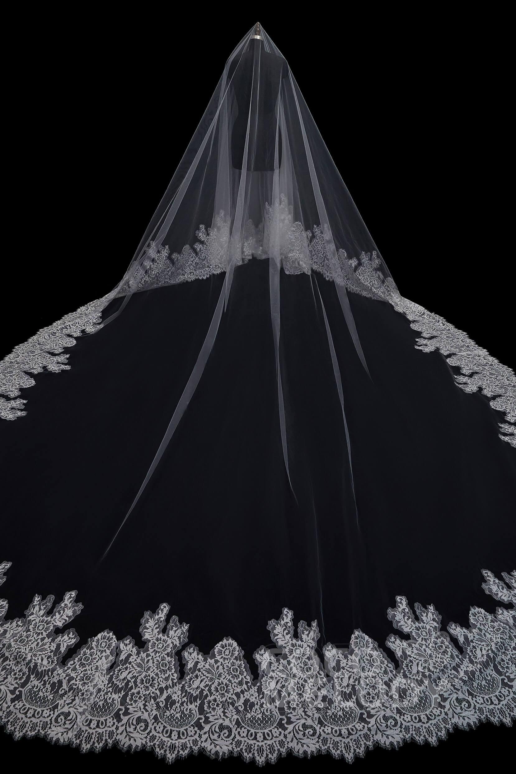 One-tier Lace Edge Tulle Cathedral Veils Appliques AV18001
